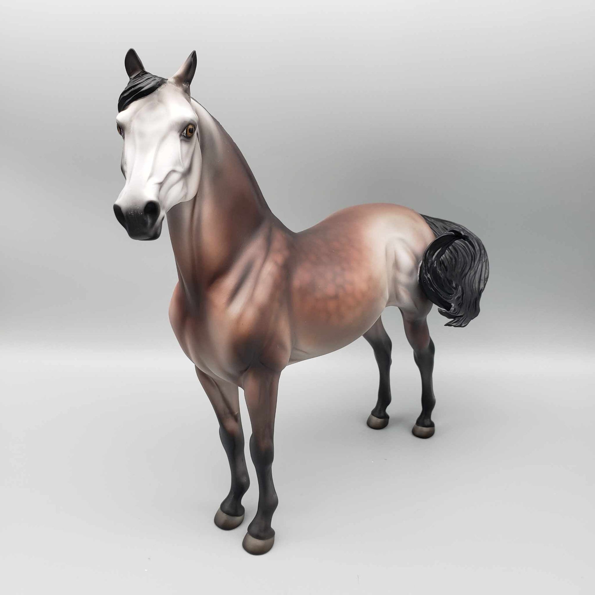 Jolly LE 15 Run Bay Going Grey Morgan By Jess Hamill Holiday Sale HS23