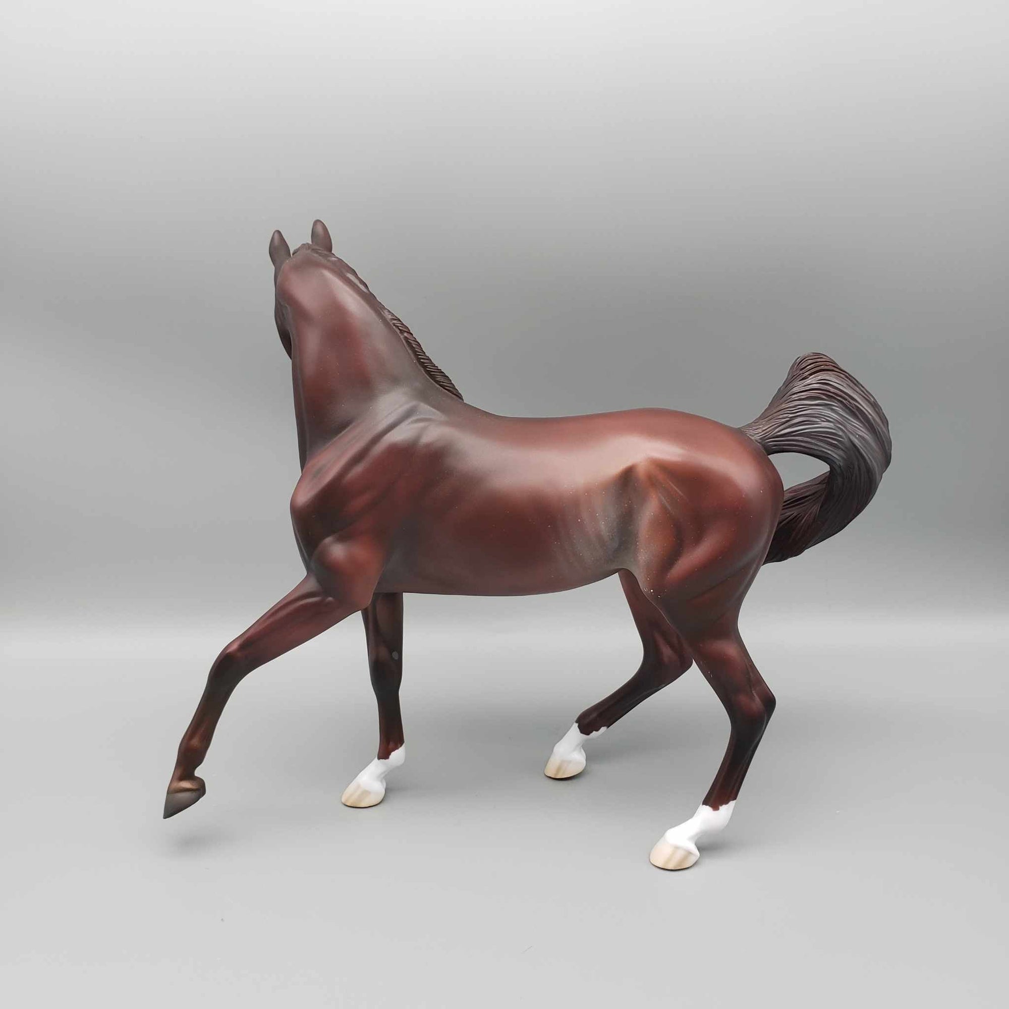 Peppermint Cocoa LE 15 Run Liver Chestnut with Rabicano Arab Mare By Jess Hamill Holiday Sale HS23