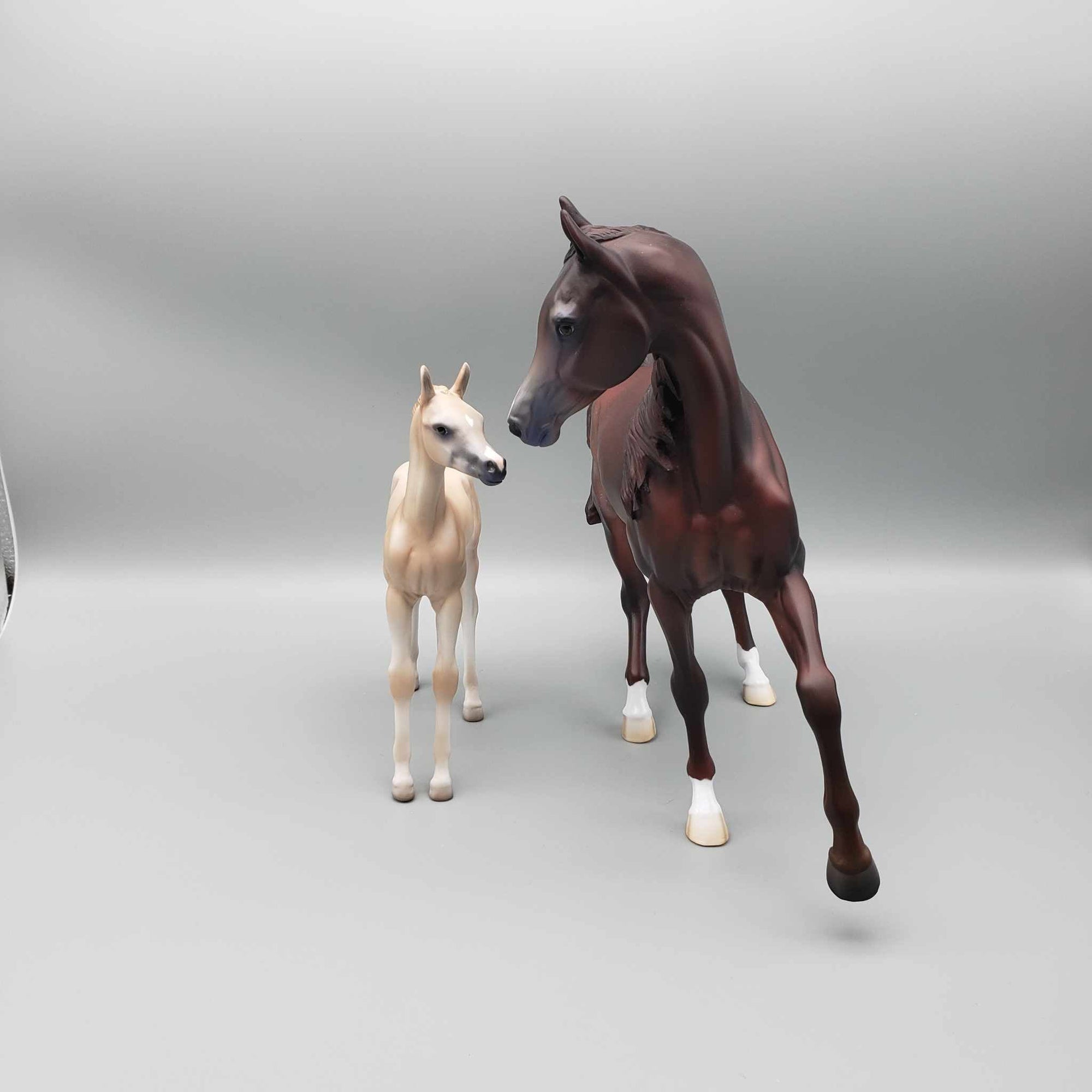 Peppermint Cocoa LE 15 Run Liver Chestnut with Rabicano Arab Mare By Jess Hamill Holiday Sale HS23