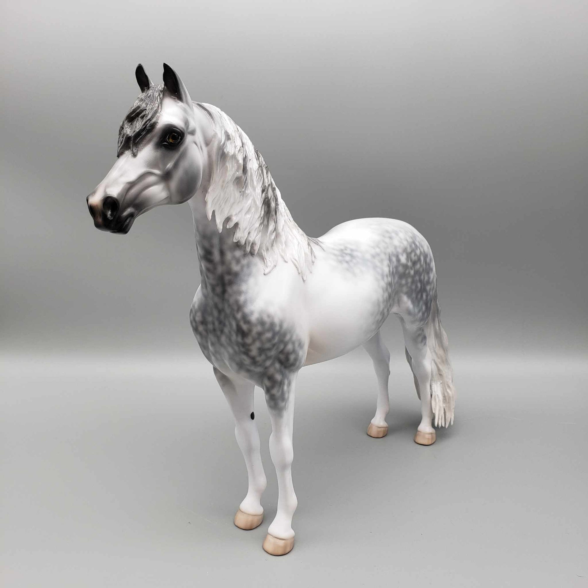 Cainhurst OOAK Dappled Grey Morgan By Jess Hamill Best Offer 11/27/23