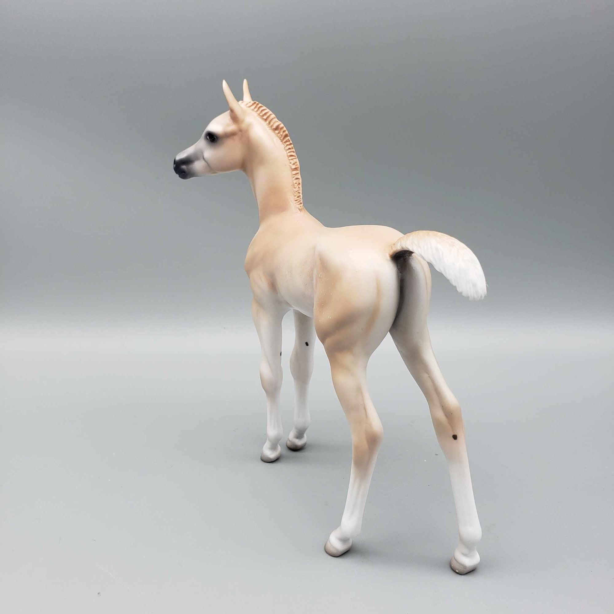 Sample of Cinnamon Cookie Light Chestnut Arab Foal By Jess Hamill Holiday Sale HS23 SAMPLE