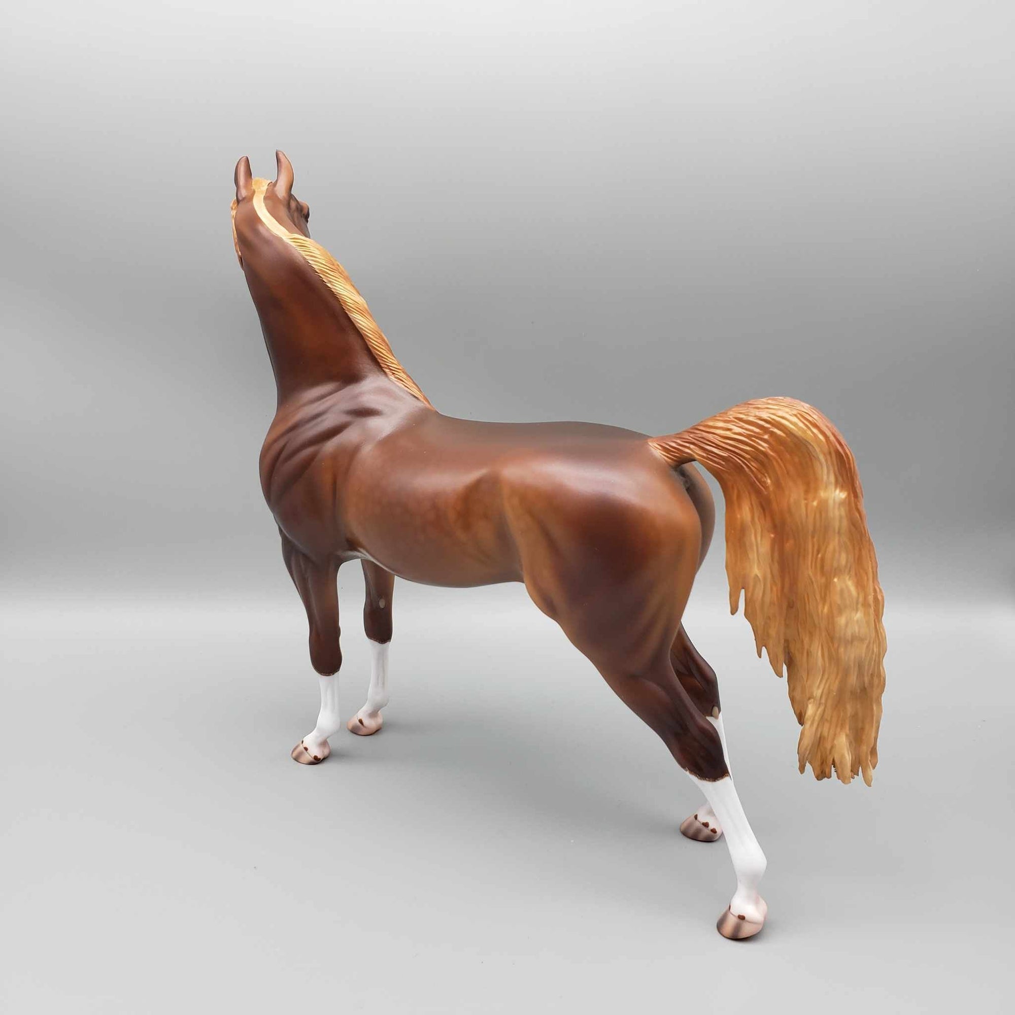 Thunderbolt Dappled Chestnut Arab Stallion By Caroline Boydston Best Offer 11/13/23