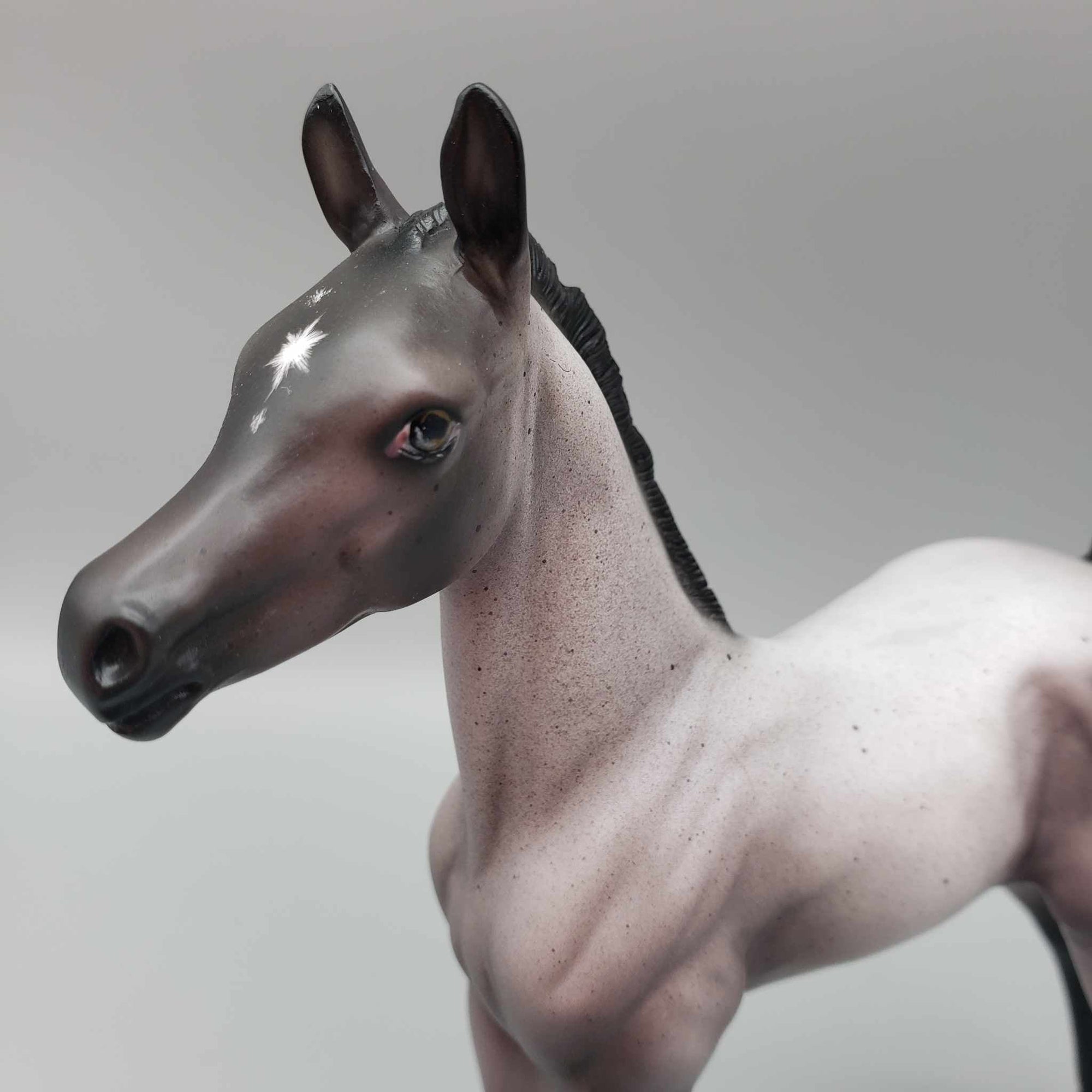 Frostbite OOAK Blue Roan Cold Sensitive Blue Appy By Ellen Robbins Holiday Sale 2023 HS23