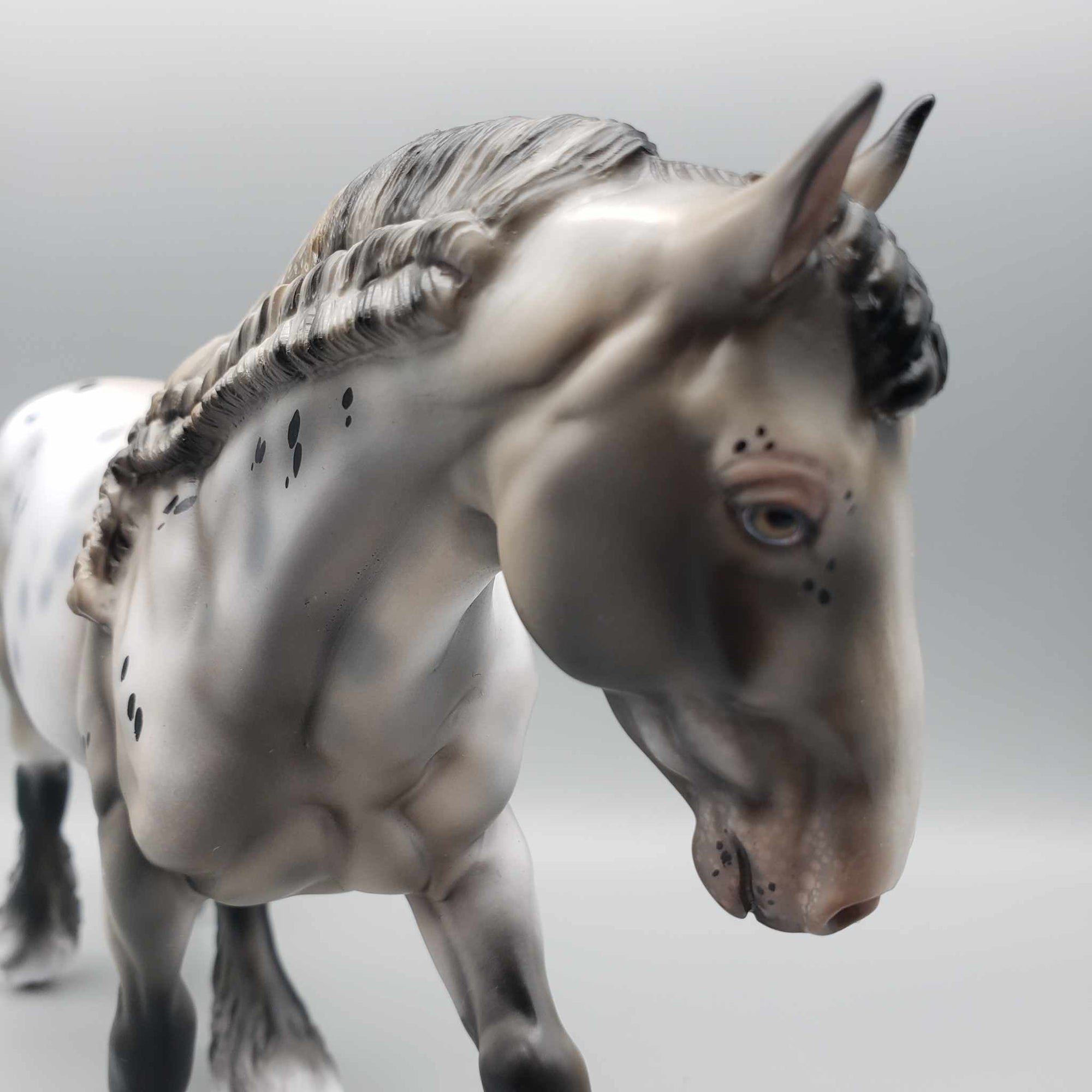 Holiday LE 30 Run Appaloosa Irish Cob By Julie Keim Holiday Sale HS23