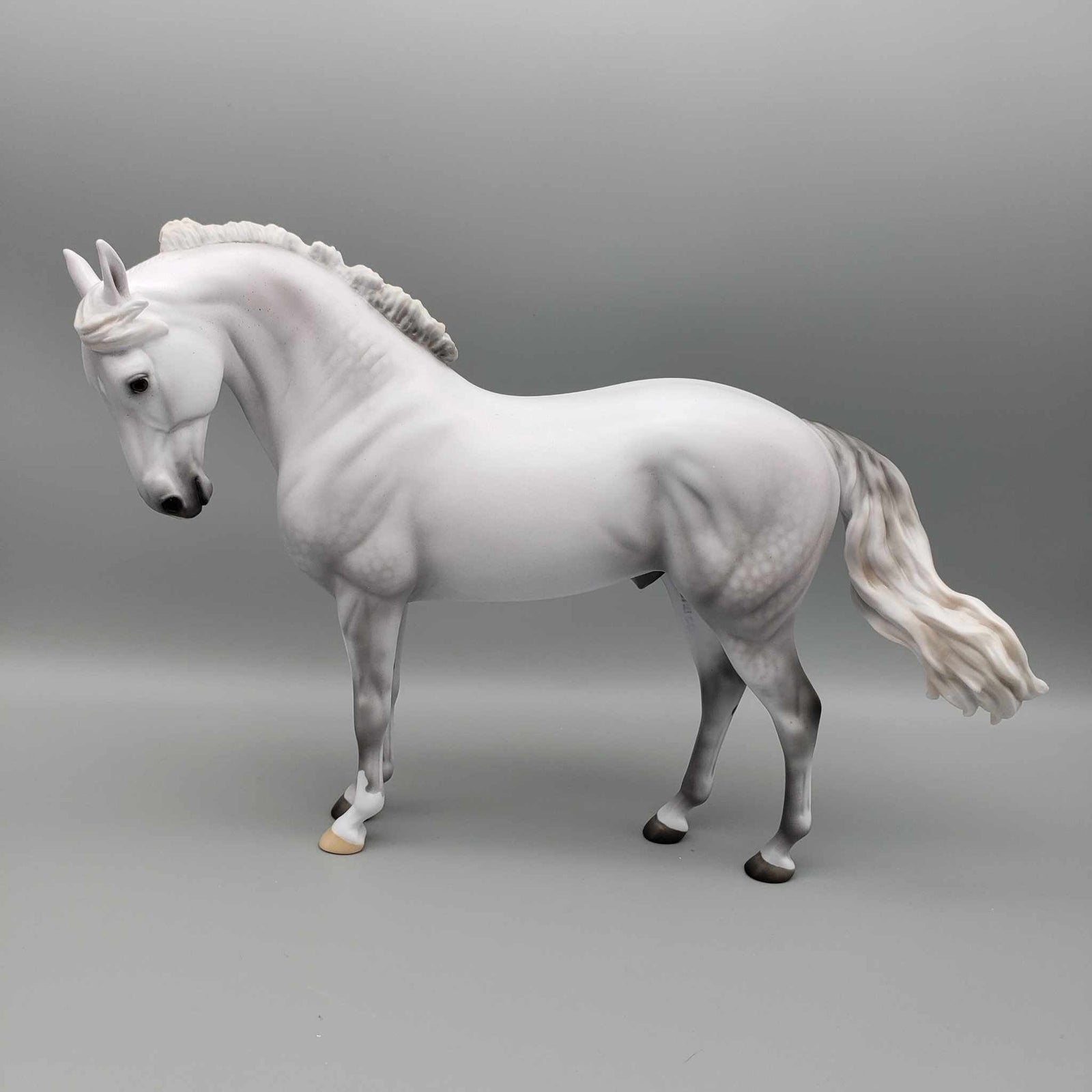 Credo LE 15 Run Dappled Grey Andalusian By Ellen Robbins Holiday Sale HS23