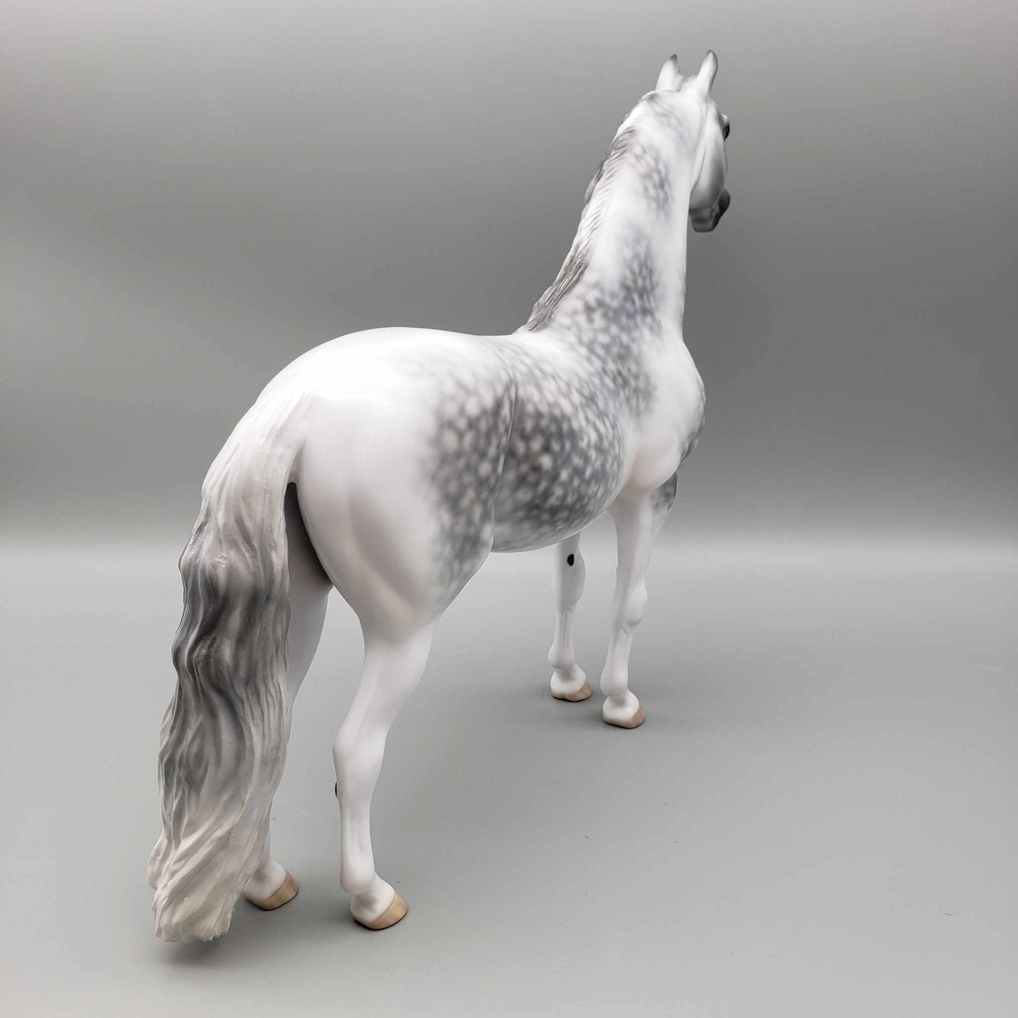 Cainhurst OOAK Dappled Grey Morgan By Jess Hamill Best Offer 11/27/23