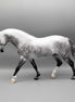 Silver Song OOAK Flea Bitten Dappled Gray Irish Draft By Ashley Palmer Holiday Sale HS23