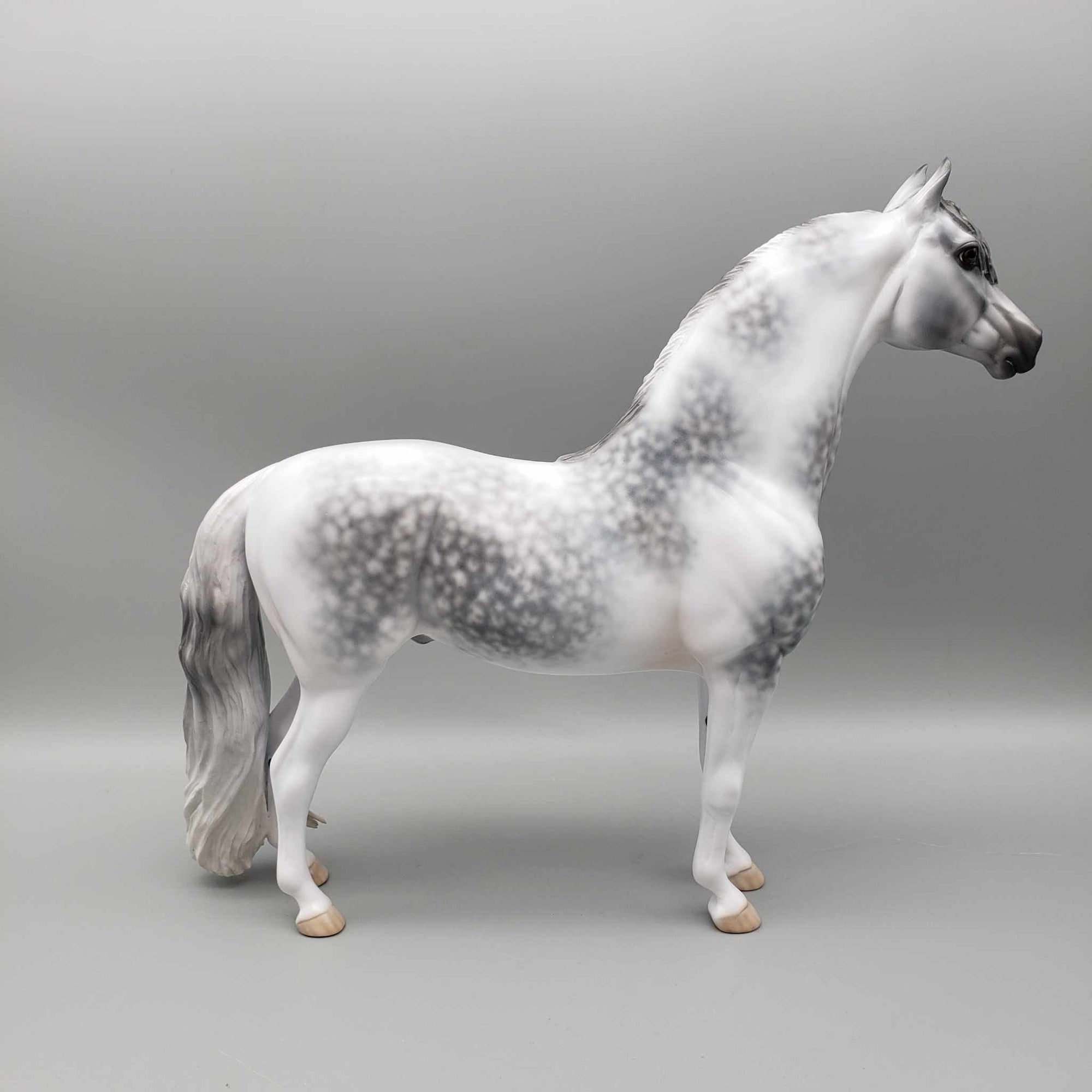 Cainhurst OOAK Dappled Grey Morgan By Jess Hamill Best Offer 11/27/23