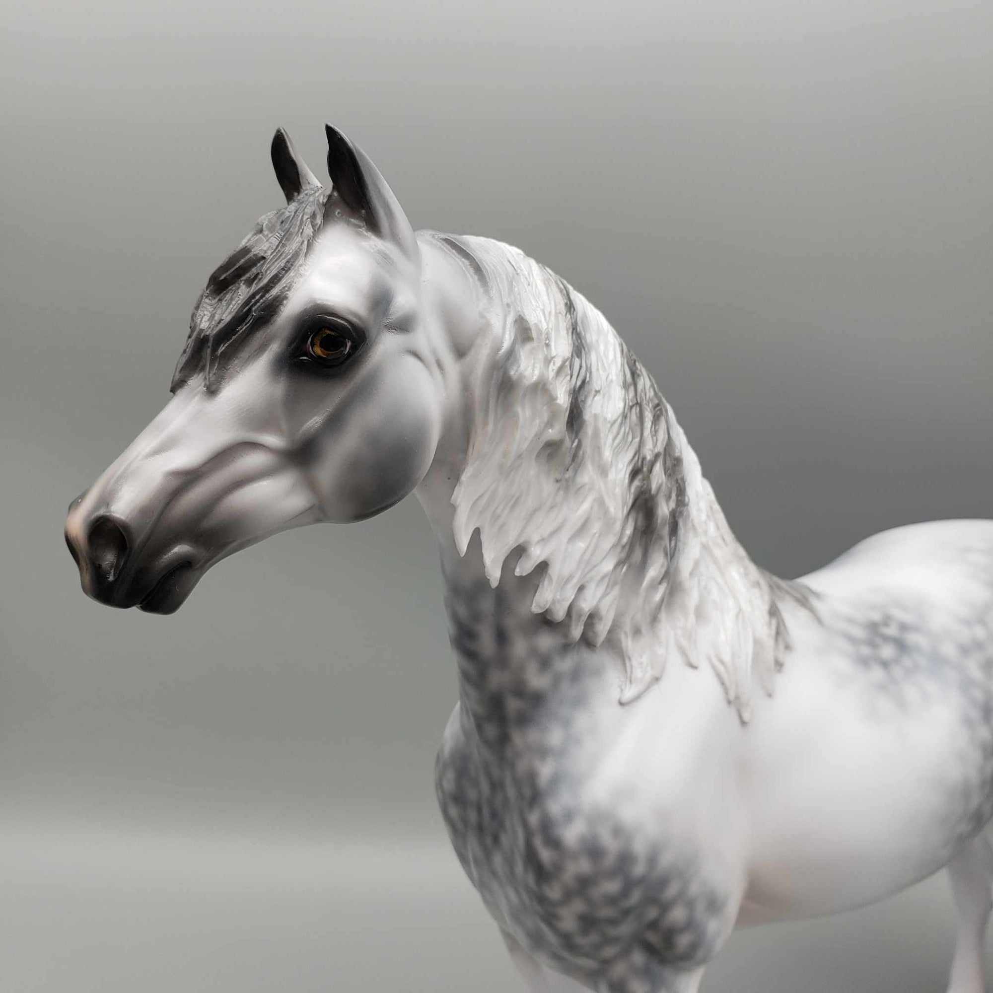 Cainhurst OOAK Dappled Grey Morgan By Jess Hamill Best Offer 11/27/23