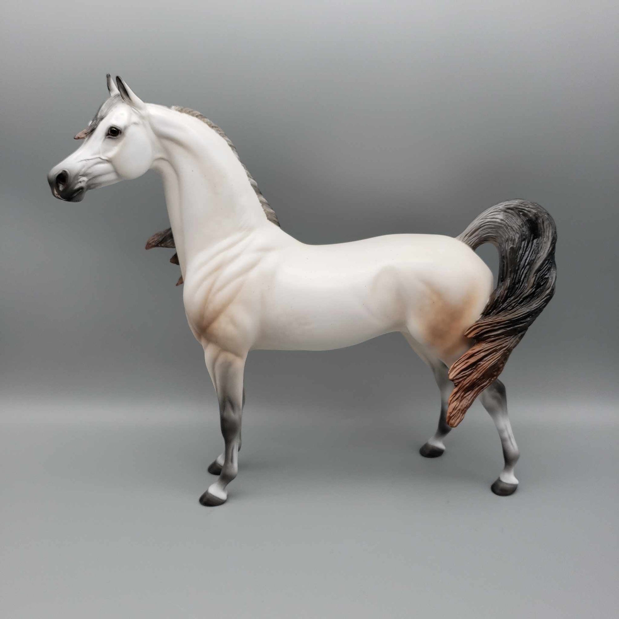 Malak OOAK  Dapple Fleabitten Buckskin Going Gray Arabian By Ellen Robbins Holiday Sale HS23