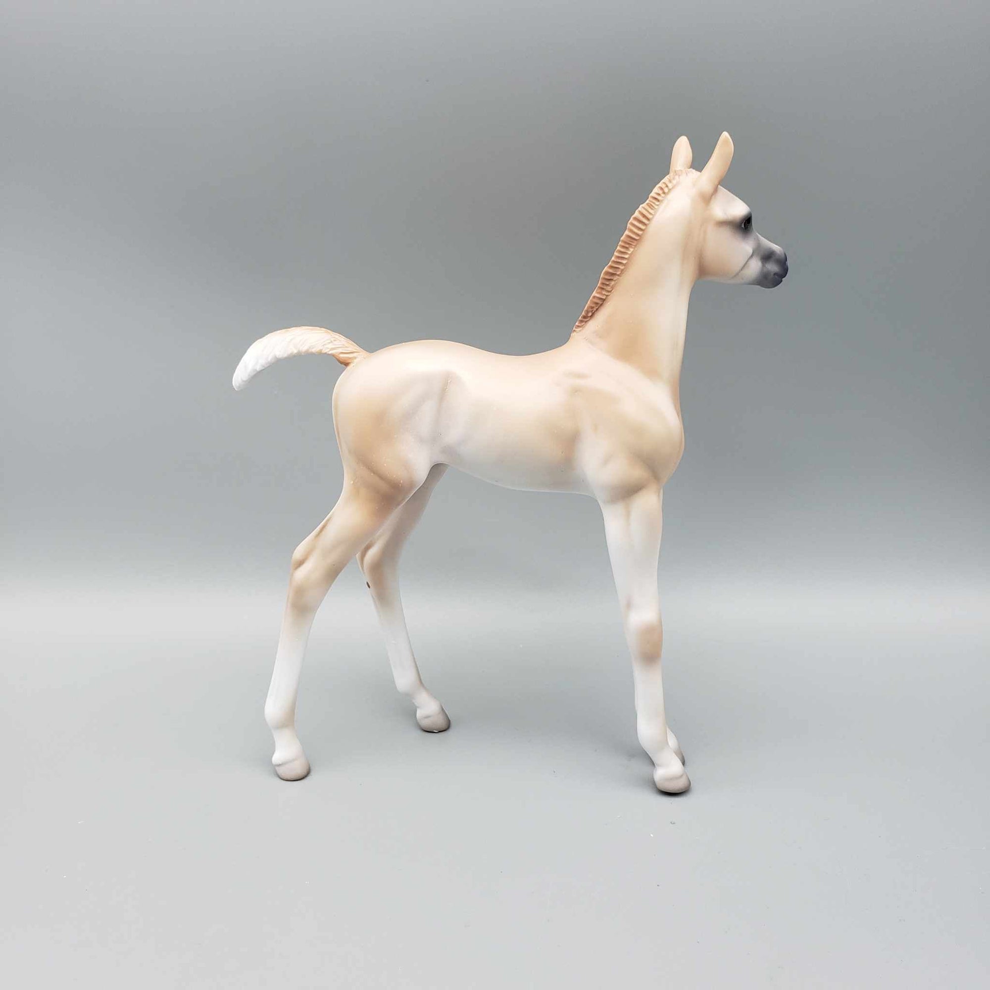 Sample of Cinnamon Cookie Light Chestnut Arab Foal By Jess Hamill Holiday Sale HS23 SAMPLE