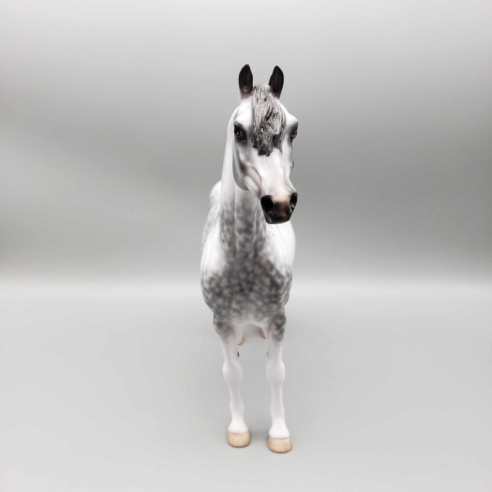 Cainhurst OOAK Dappled Grey Morgan By Jess Hamill Best Offer 11/27/23