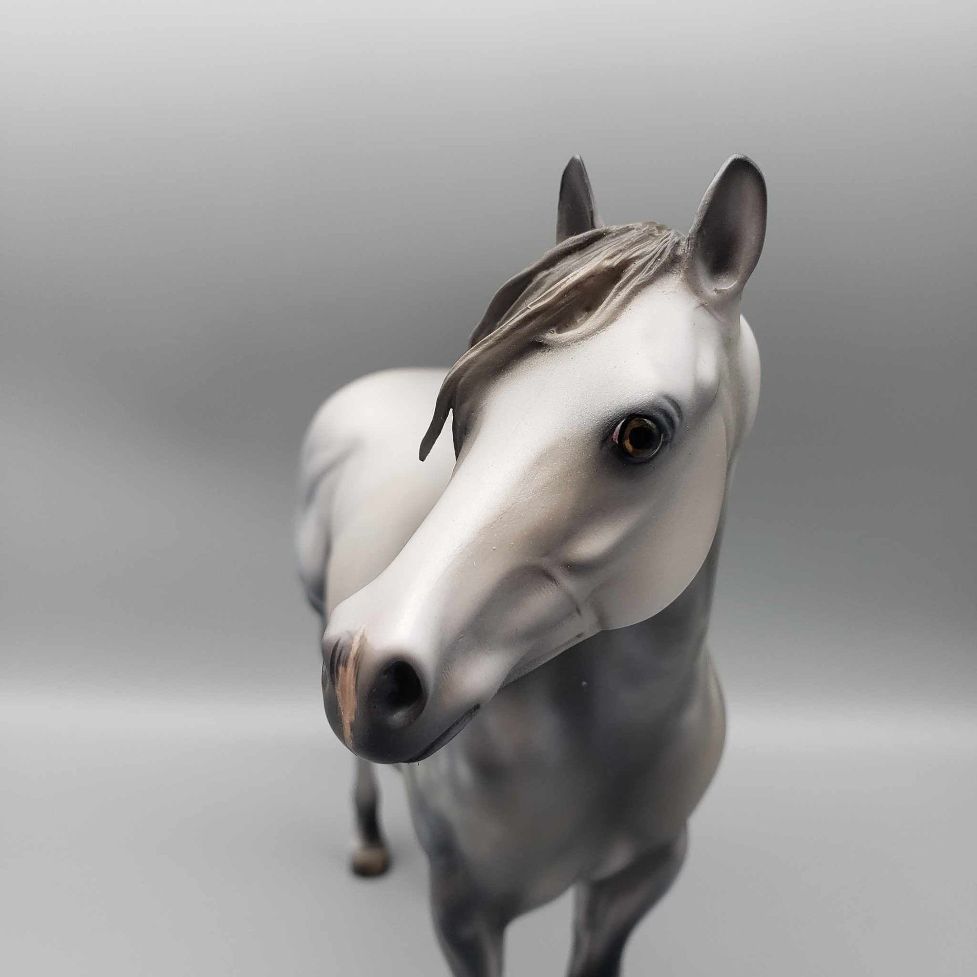 Jack Frost OOAK Dappled Grey Ideal Stock Horse By Julie Keim Best Offers 12/4/23