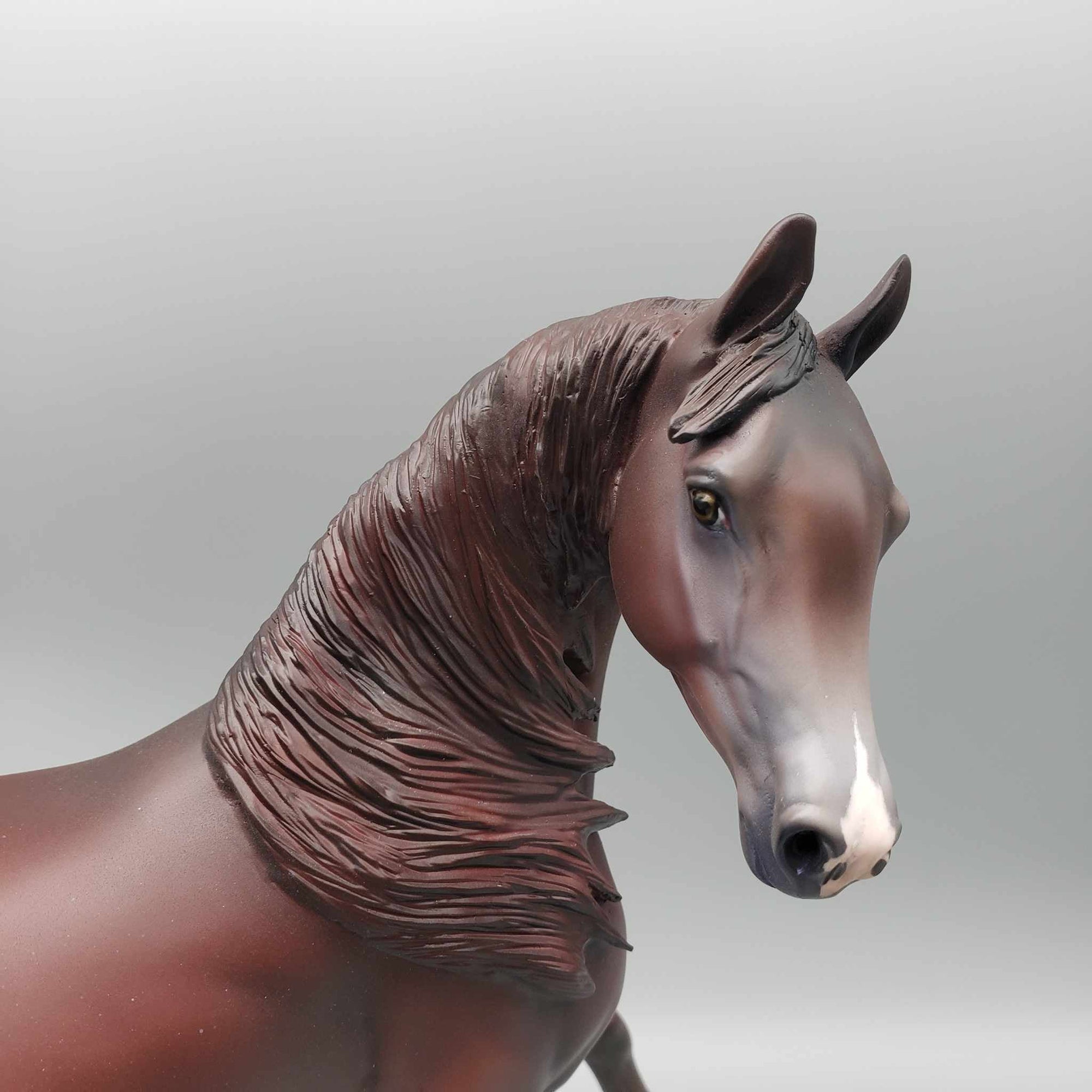 Peppermint Cocoa LE 15 Run Liver Chestnut with Rabicano Arab Mare By Jess Hamill Holiday Sale HS23