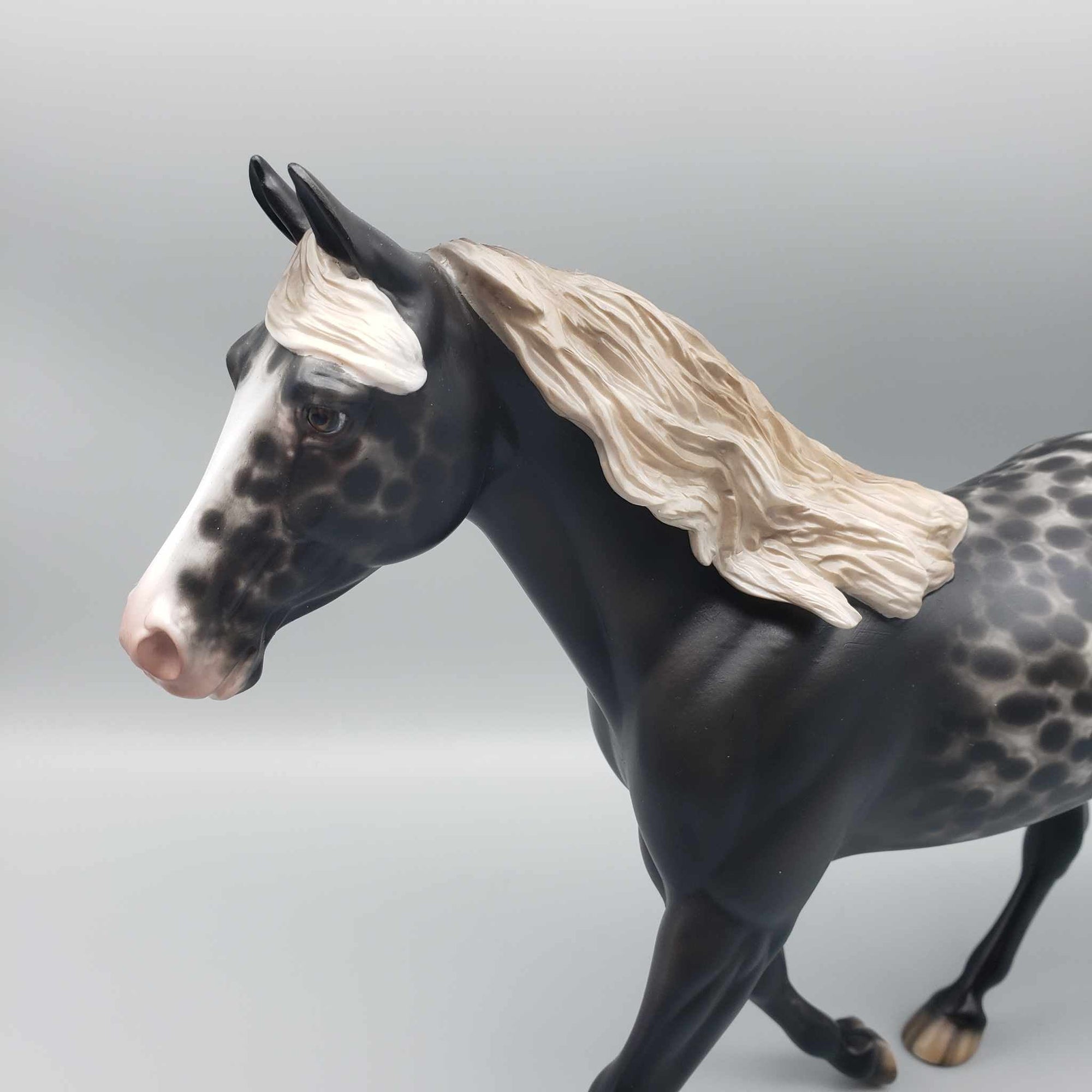 Blackberry Pie OOAK Black Appaloosa Palouse By Sheryl Leisure Best Offers 12/26/23