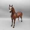 Butter Toffee OOAK Dappled Chestnut Etched Markings Arabian By Ashley Palmer Holiday Sale HS23