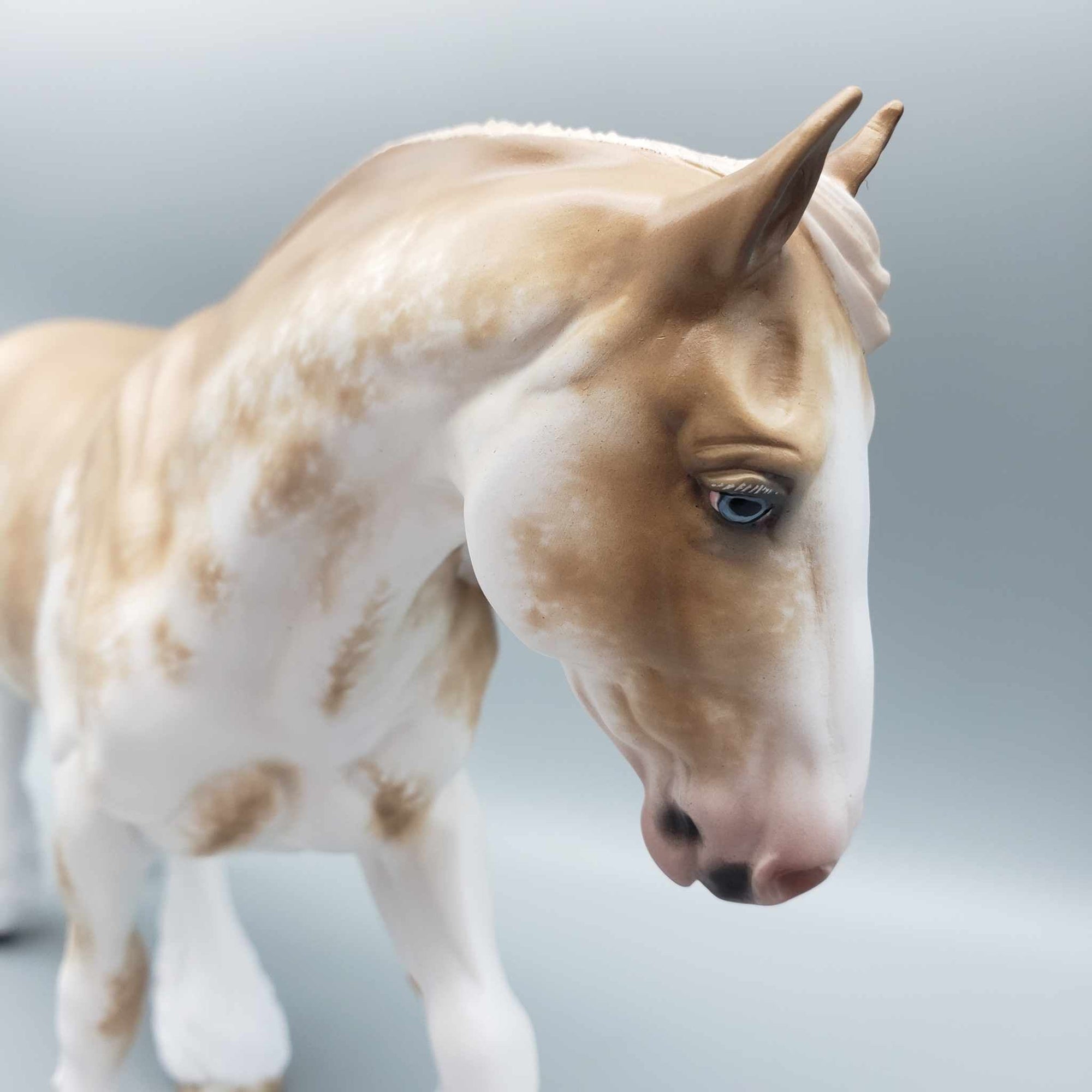 Caramella OOAK Palomino Sabino Irish Cob By Sheryl Leisure Best Offers 12/4/23