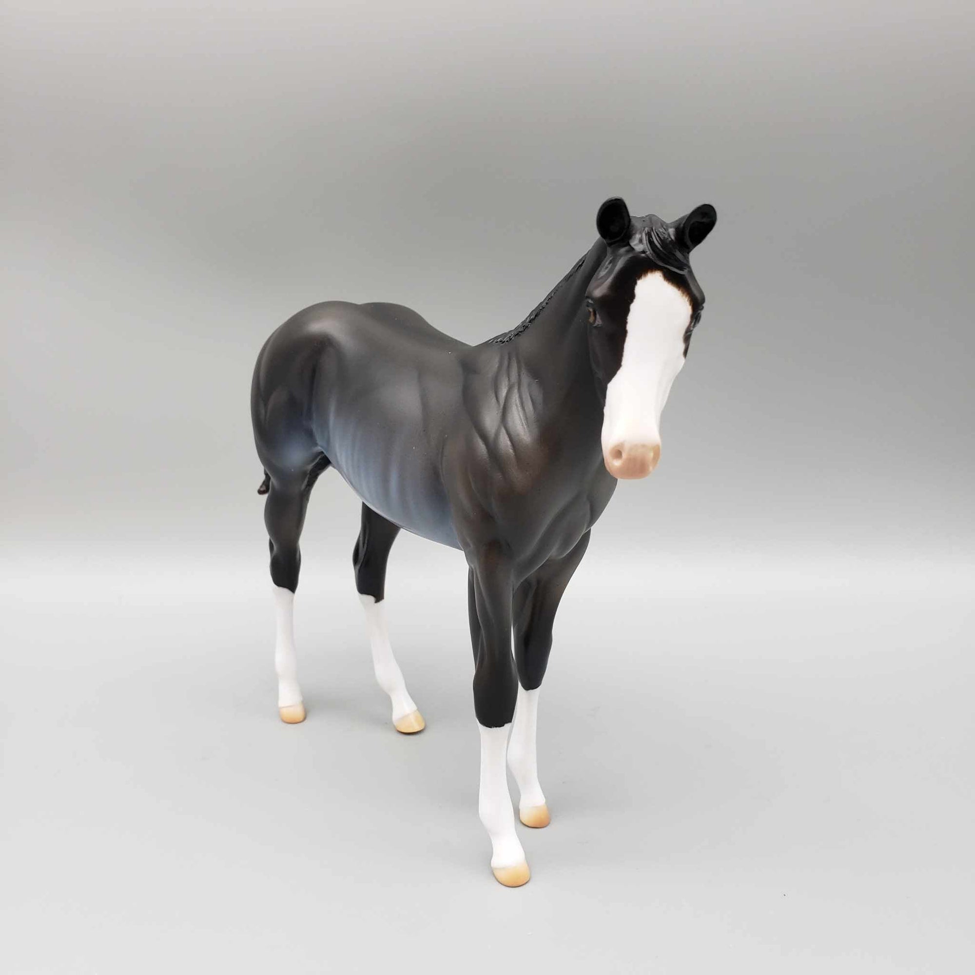 Misty Morning OOAK Dark Blue Roan Rabicano Weanling By Ashley Palmer Holiday Sale HS23