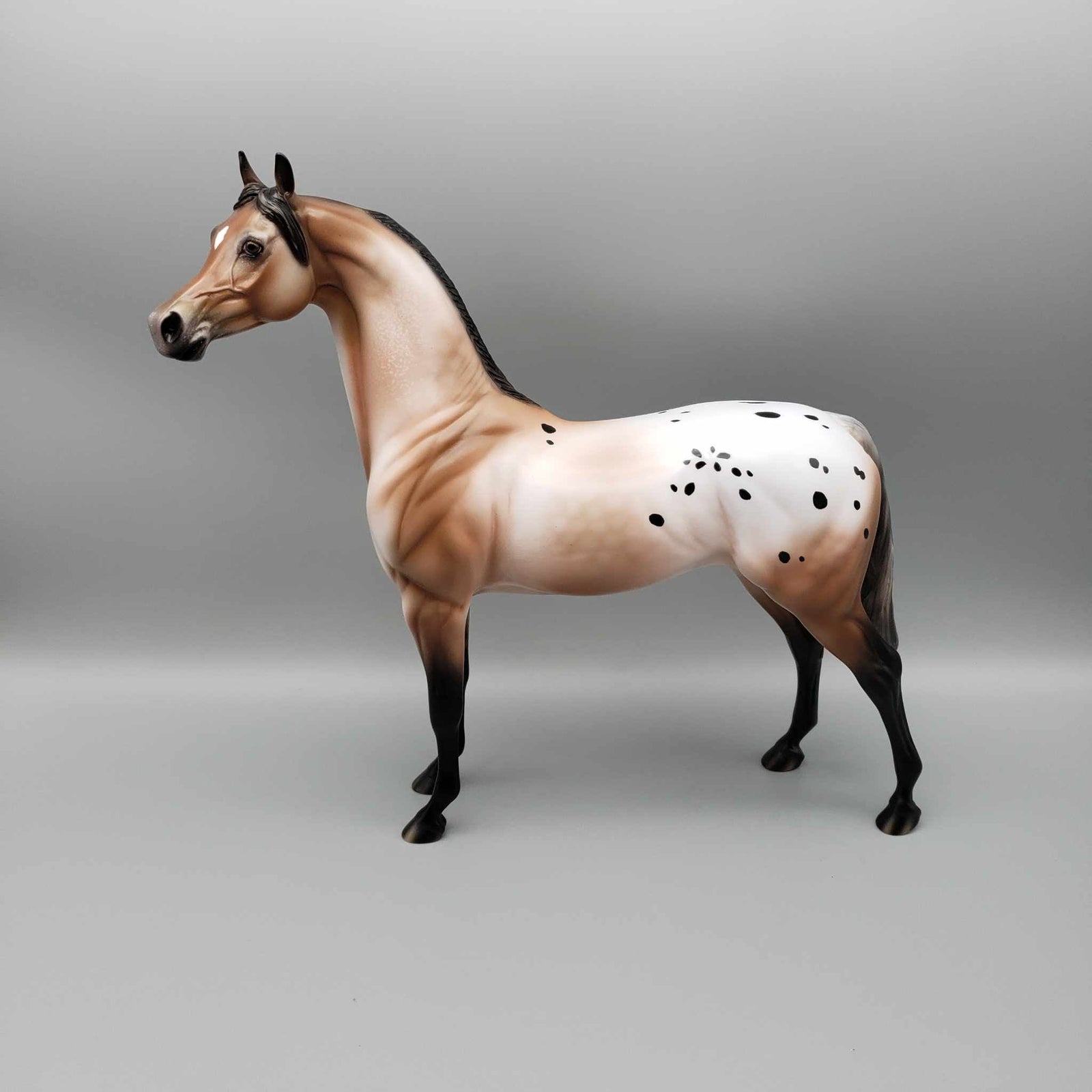 Marshmallow Coco OOAK Dappled Bay Varnish Roan Appaloosa Arabian By Ashley Palmer Holiday Sale HS23