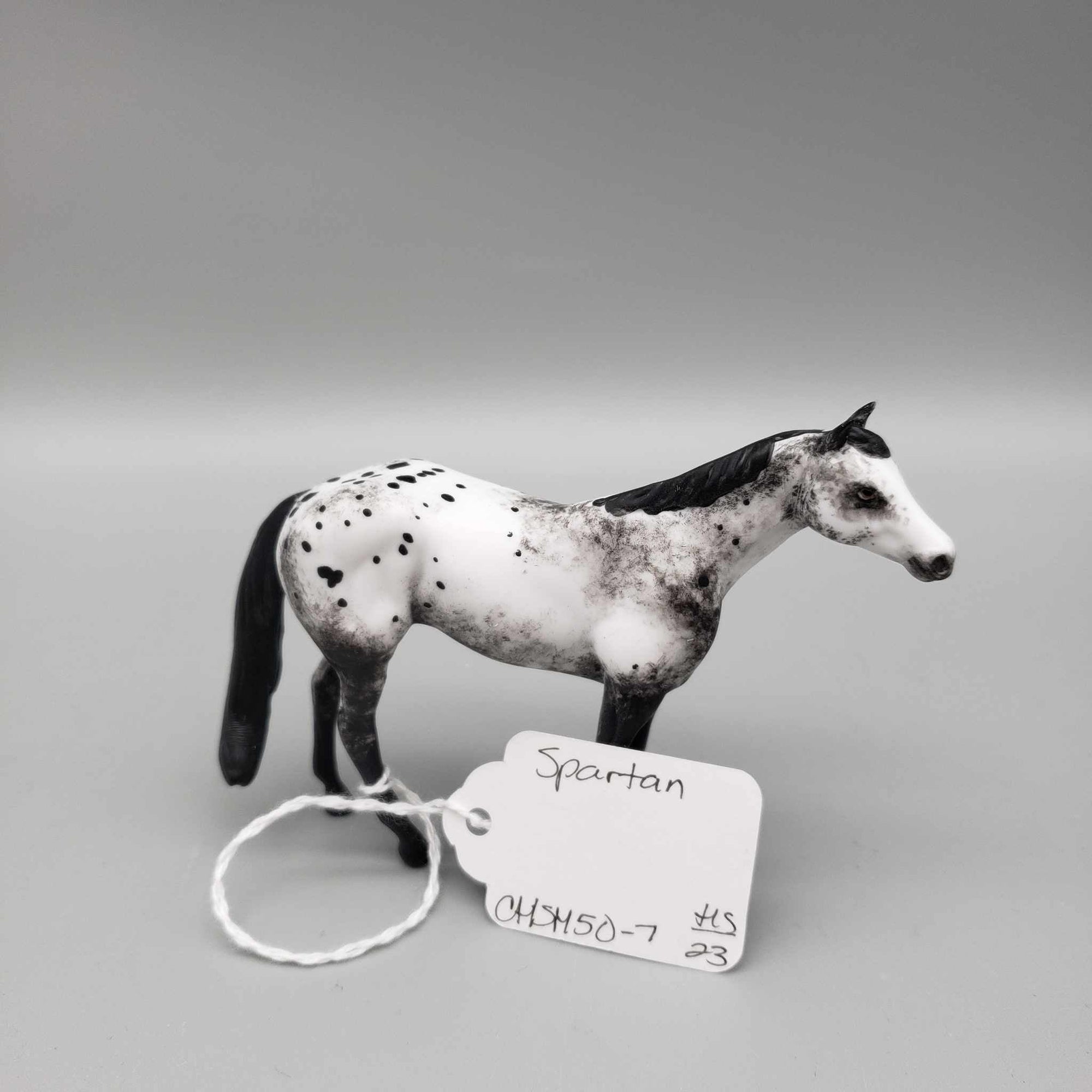 Spartan OOAK Black Appaloosa Custom Stock Chip By Andrea Thomason Holiday Sale HS23