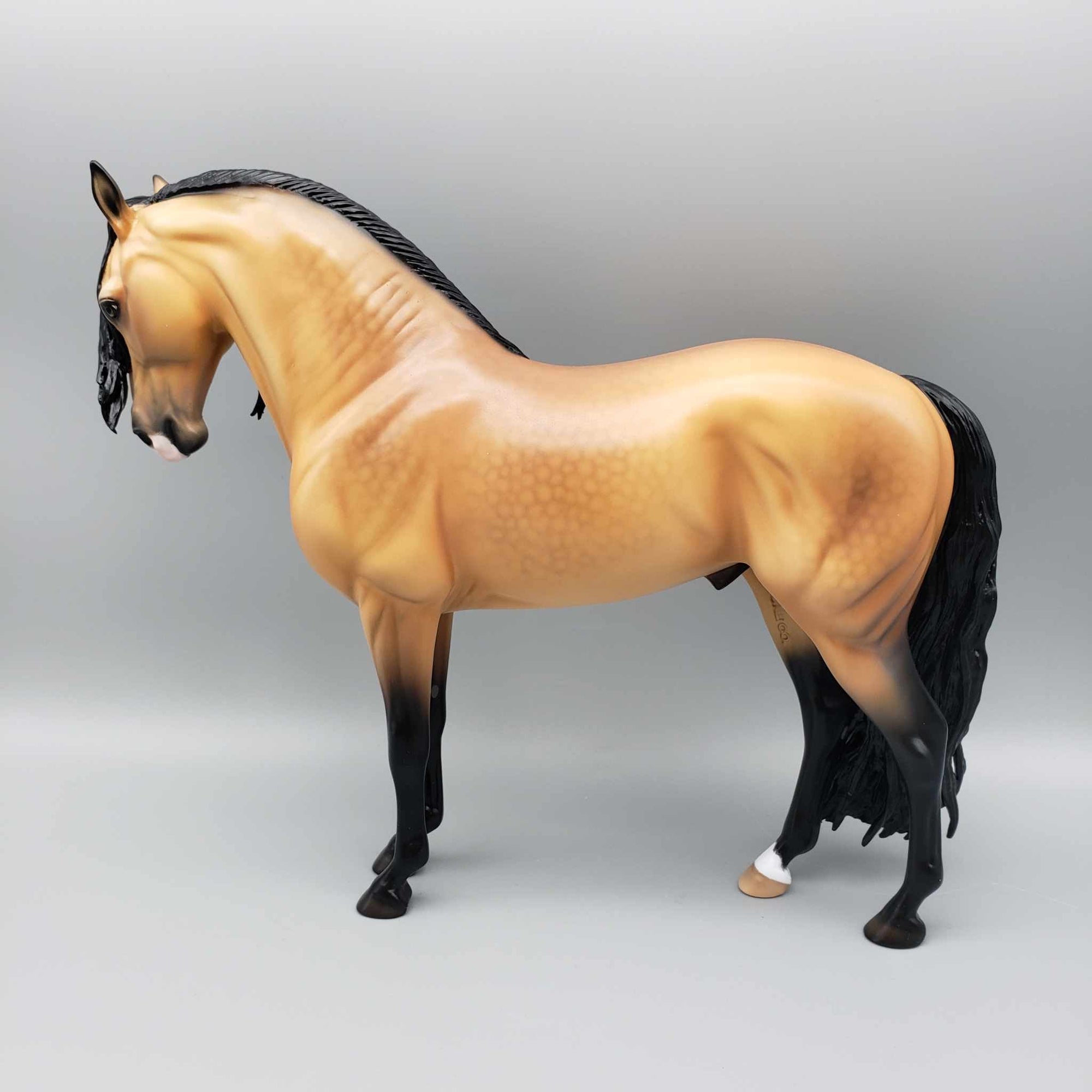 Brewster OOAK Dappled Buckskin Andalusian By Ellen Robbins Best Offer 11/27/23