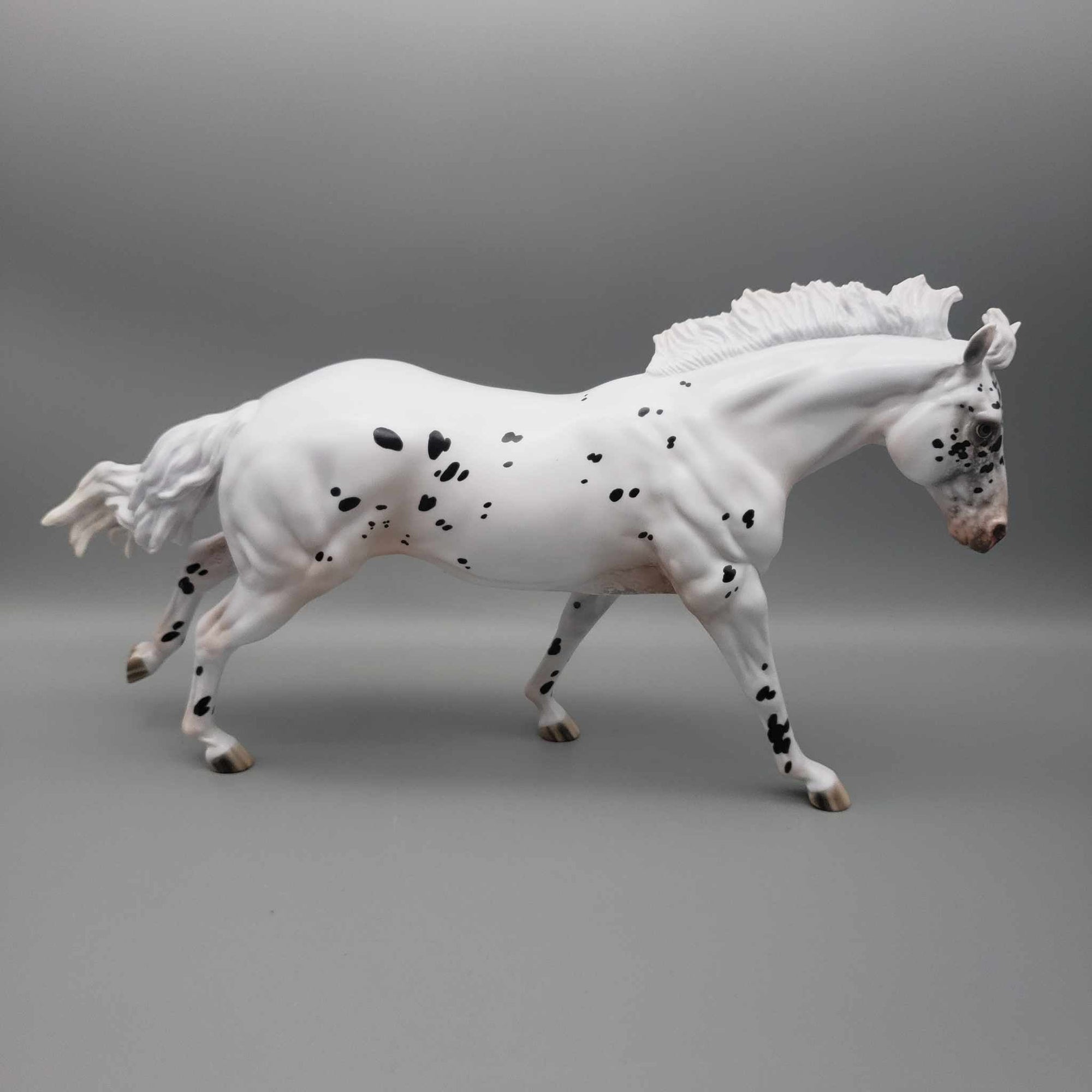 Popcorn OOAK  Black Appaloosa Remington W/ Short Mane By Jess Hamill Holiday Sale HS23