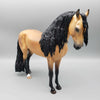 Brewster OOAK Dappled Buckskin Andalusian By Ellen Robbins Best Offer 11/27/23