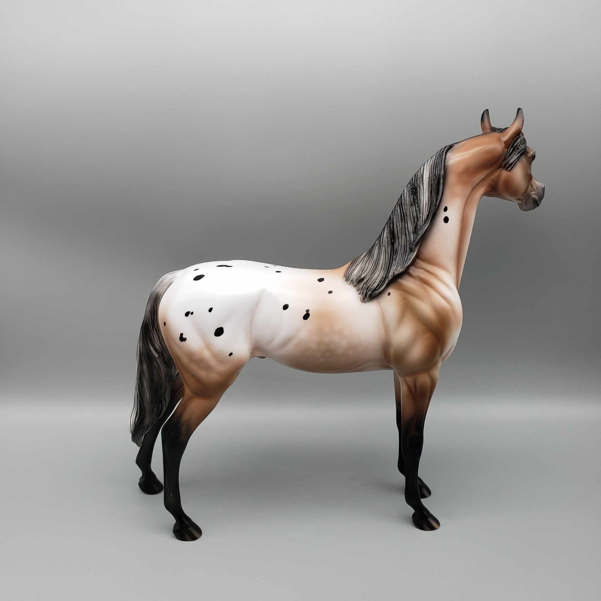 Marshmallow Coco OOAK Dappled Bay Varnish Roan Appaloosa Arabian By Ashley Palmer Holiday Sale HS23