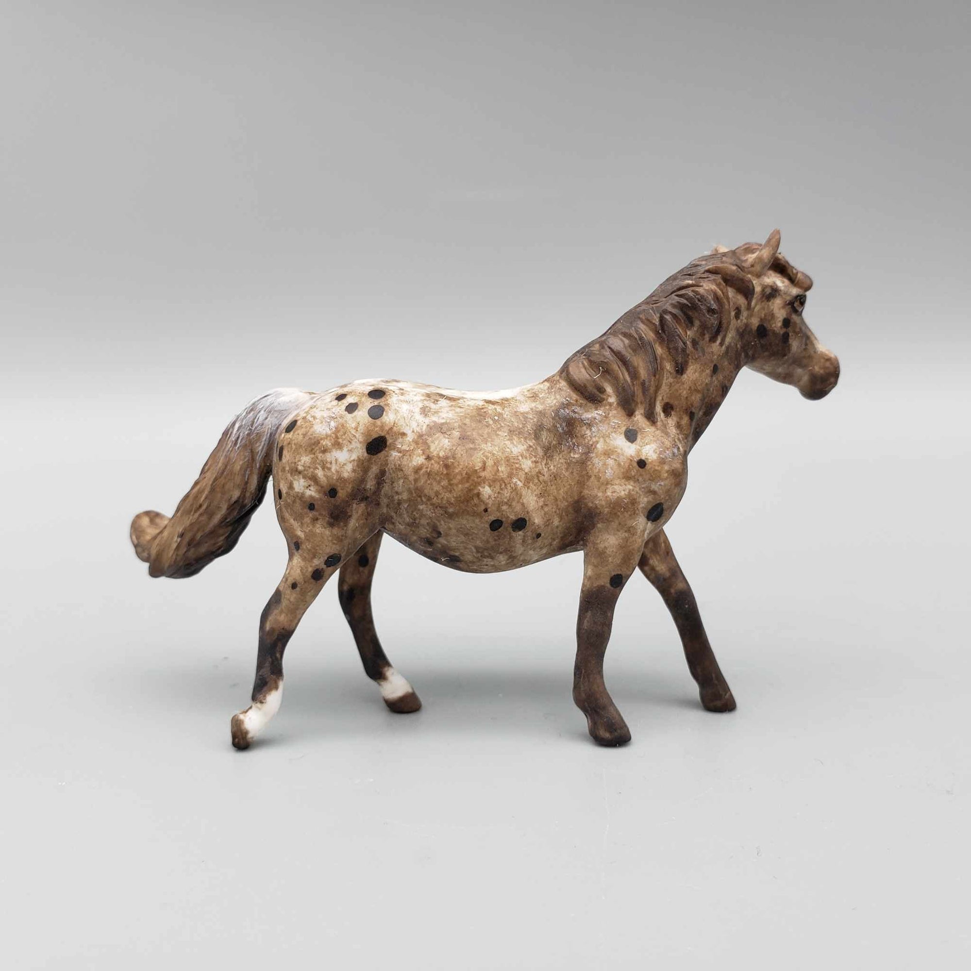 Pippin OOAK Custom Dark Chestnut Appaloosa Pony Chip By Andrea Thomason Holiday Sale HS23