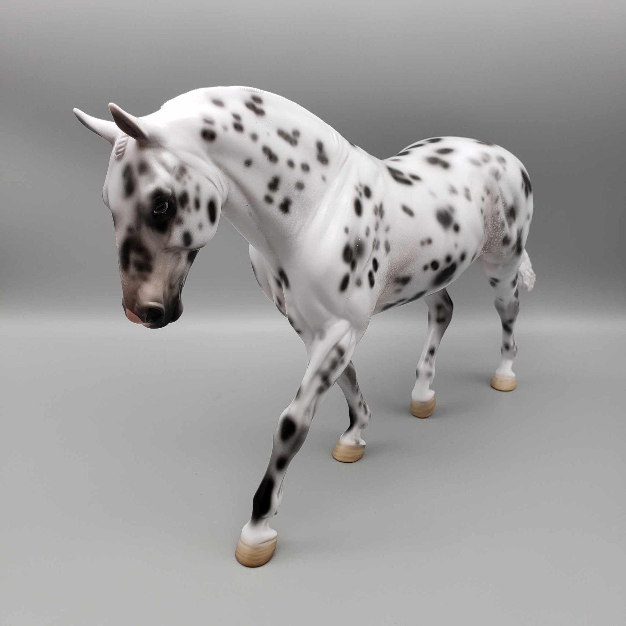 Snow Shadow OOAK Leopard Appaloosa Irish Draft By Angela Marleau Holiday Sale HS23