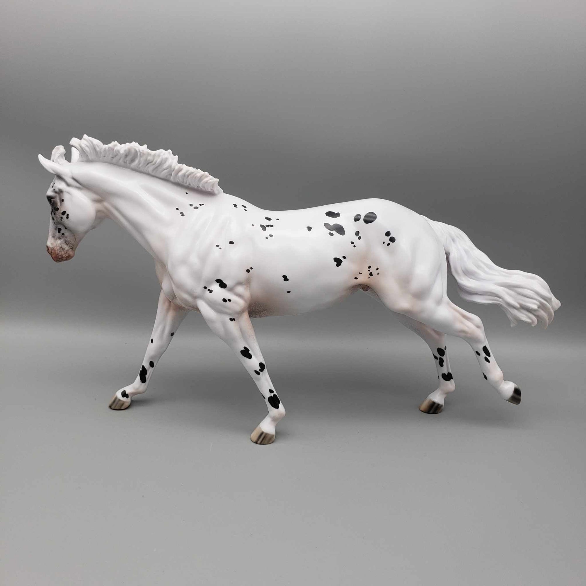 Popcorn OOAK  Black Appaloosa Remington W/ Short Mane By Jess Hamill Holiday Sale HS23