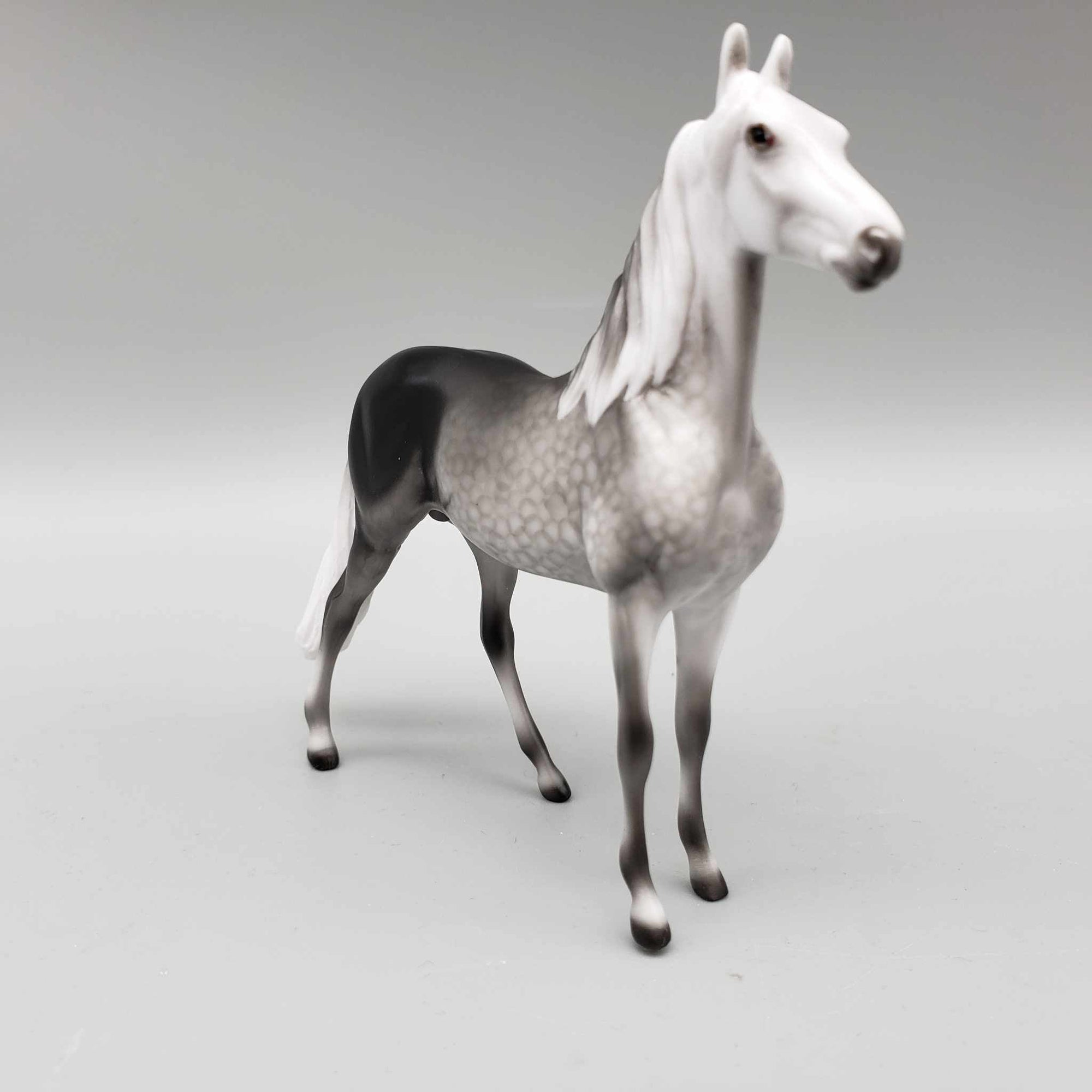 Snow Cloud OOAK Dapple Grey Morgan Chip by Ellen Robbins Holiday Sale HS23