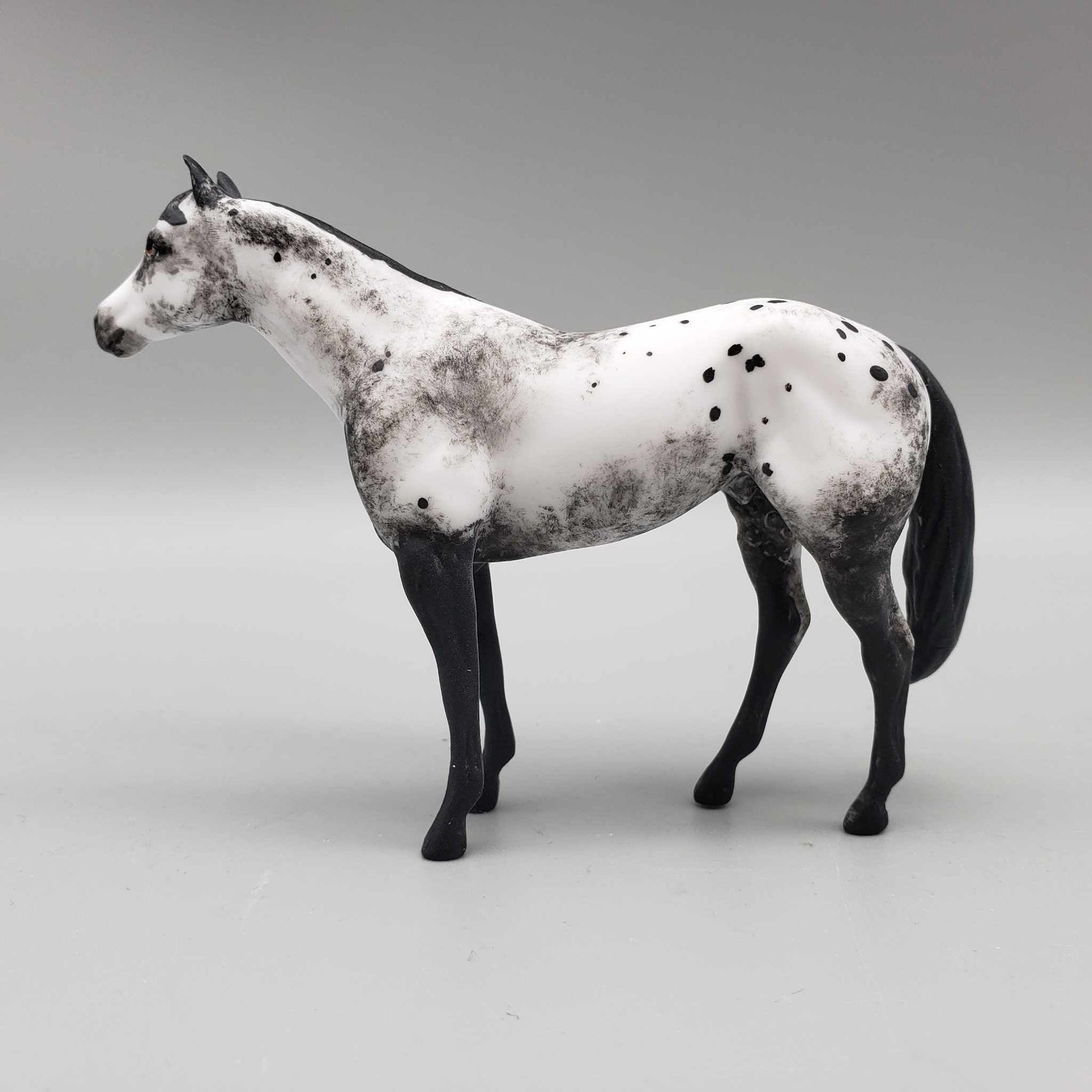 Spartan OOAK Black Appaloosa Custom Stock Chip By Andrea Thomason Holiday Sale HS23