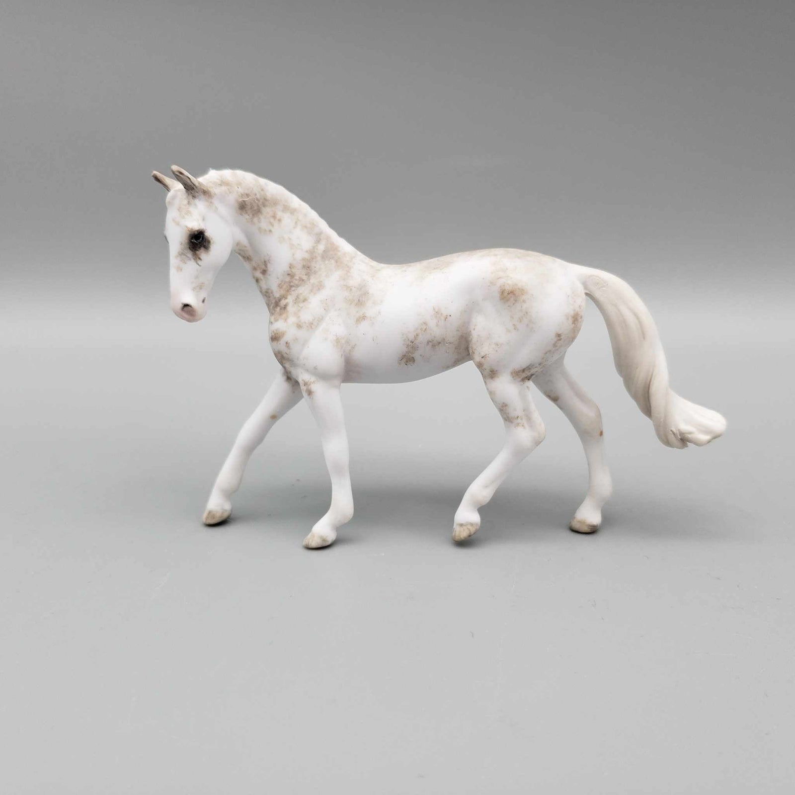 Ellison OOAK Custom Gray Sabino Warmblood Chip By Andrea Thomason Holiday Sale HS23