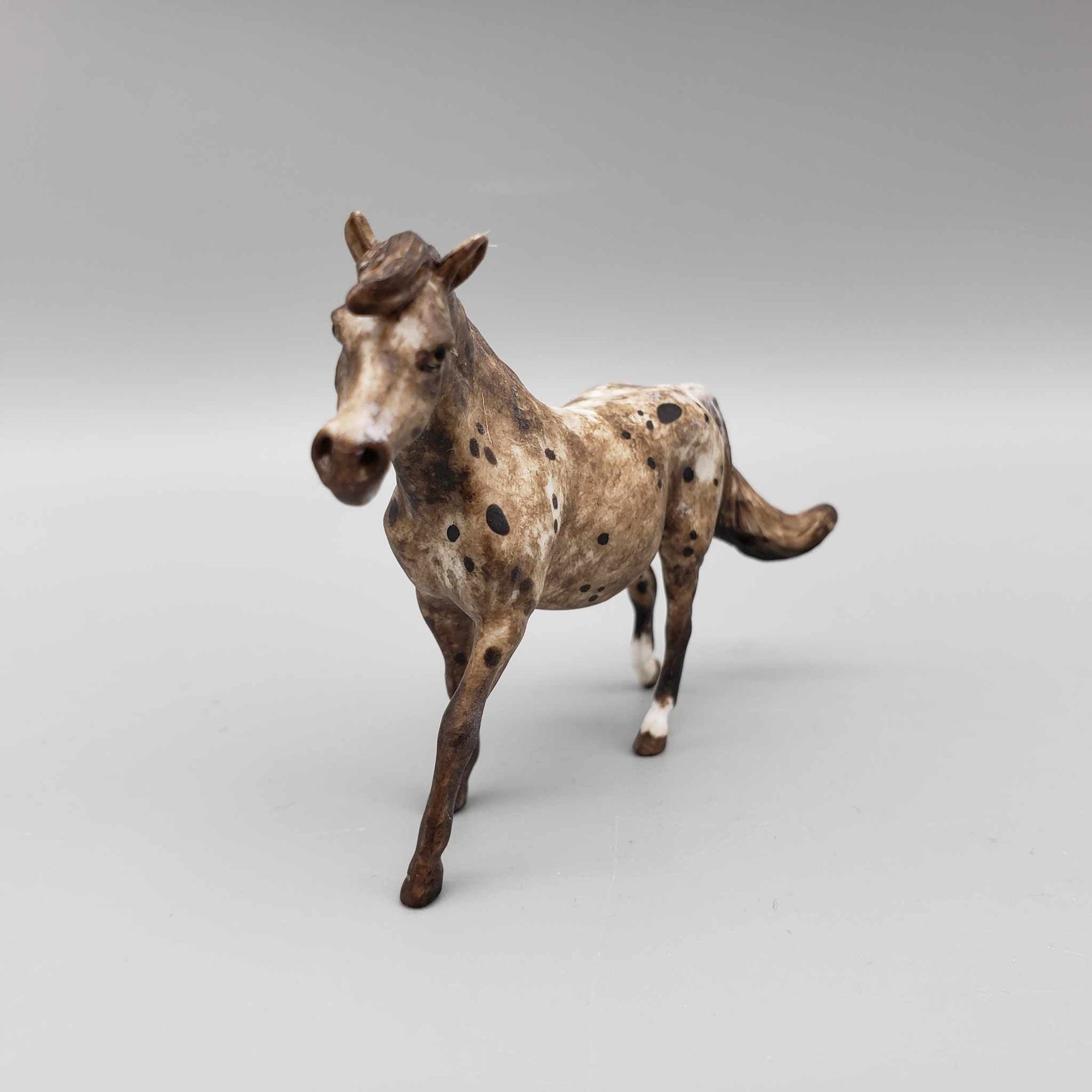 Pippin OOAK Custom Dark Chestnut Appaloosa Pony Chip By Andrea Thomason Holiday Sale HS23