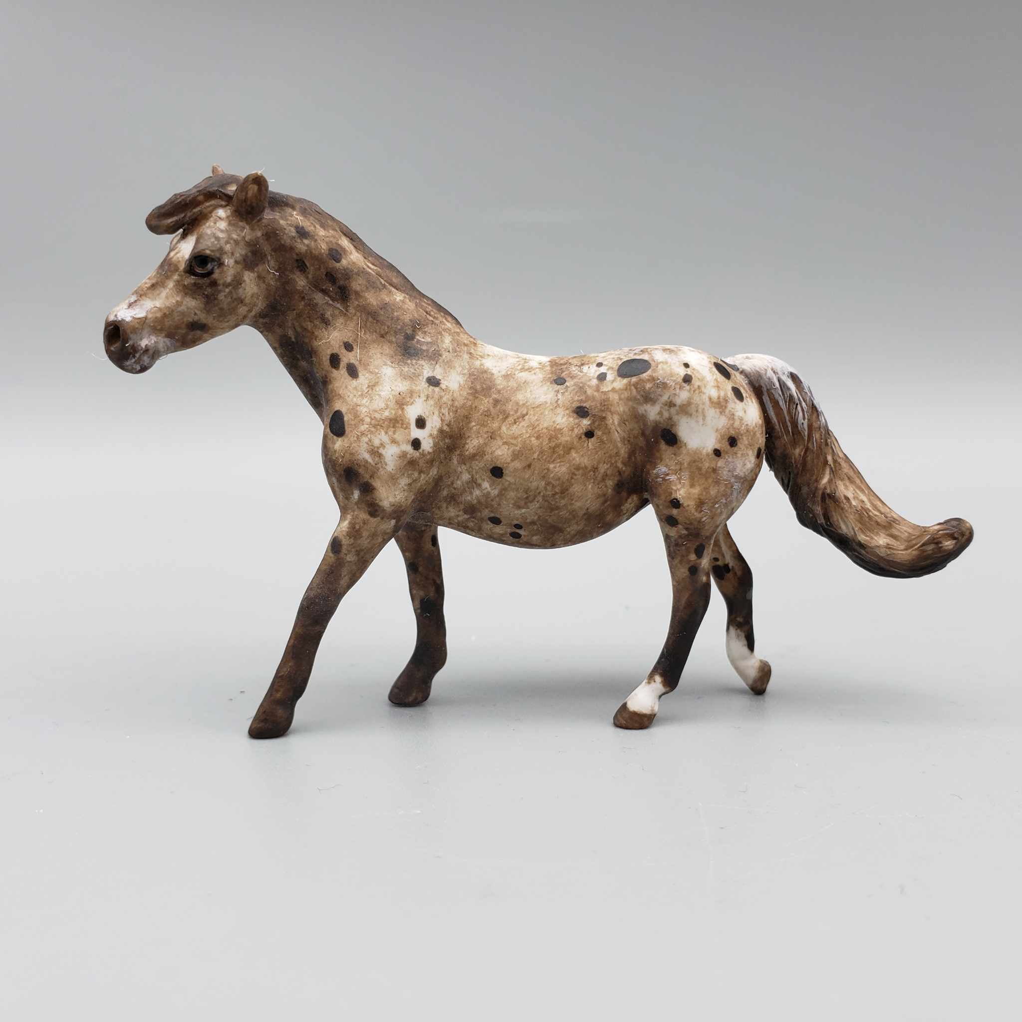 Pippin OOAK Custom Dark Chestnut Appaloosa Pony Chip By Andrea Thomason  Holiday Sale HS23