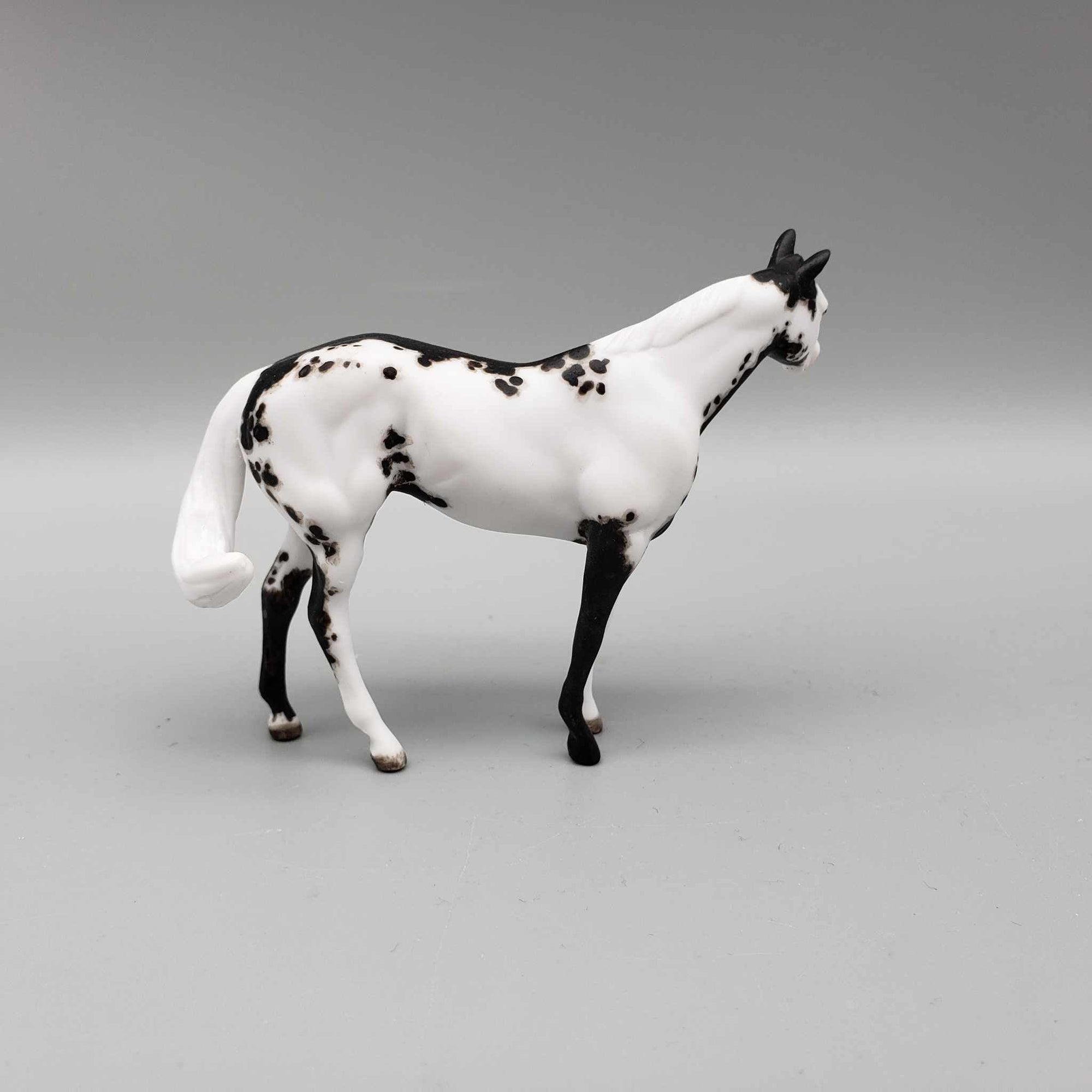 Epicore OOAK Black Overo Custom Stock Chip By Andrea Thomason Holiday Sale HS23