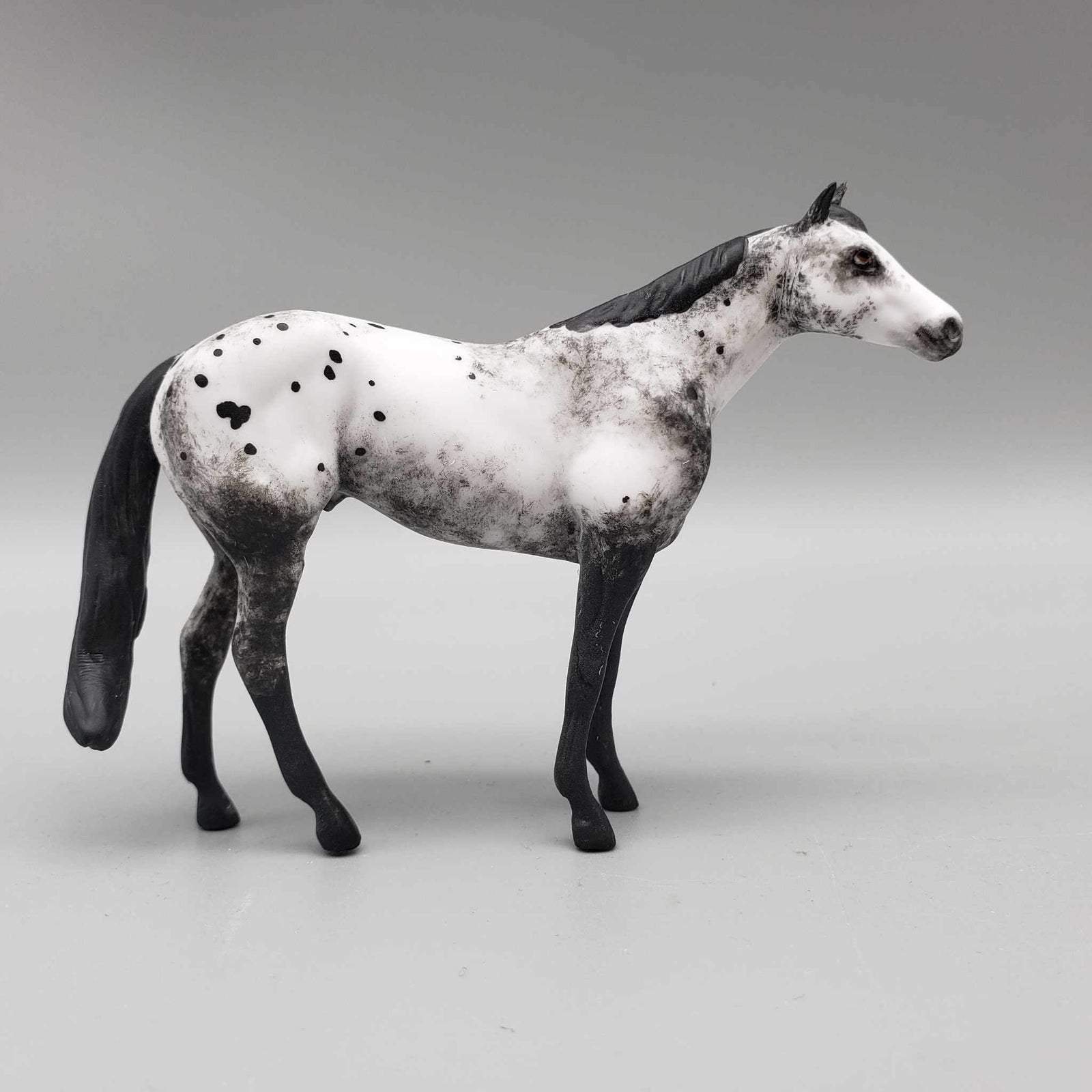 Spartan OOAK Black Appaloosa Custom Stock Chip By Andrea Thomason Holiday Sale HS23