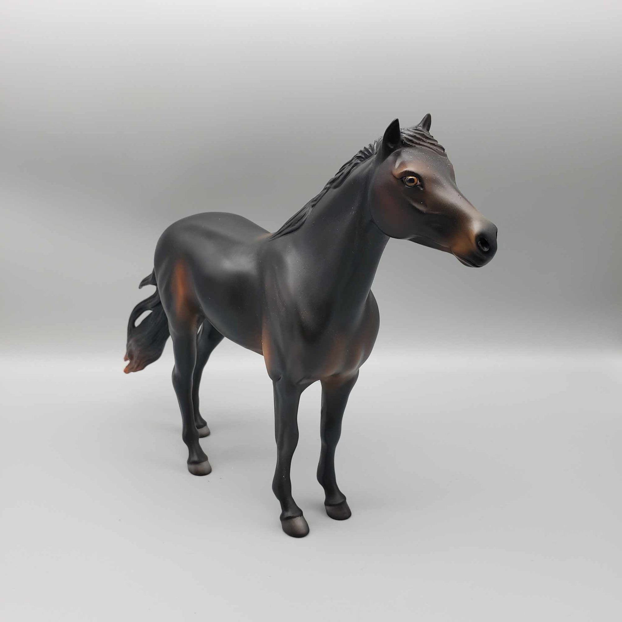 Dark Chocolate Delight OOAK Seal Bay Mustang by Angela Marleau Holiday Sale HS23