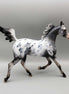 Countdown Confetti OOAK Appaloosa Yearling By Dawn Quick New Year Sales Collection NY23
