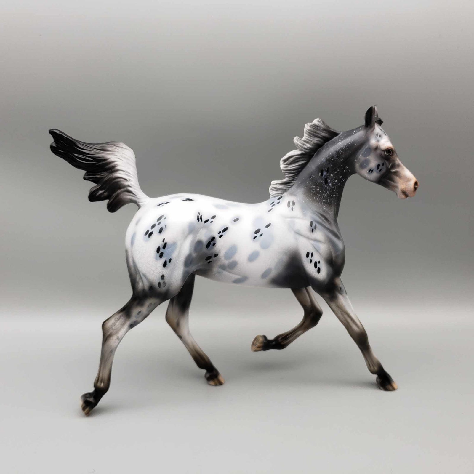 Countdown Confetti OOAK Appaloosa Yearling By Dawn Quick New Year Sales Collection NY23