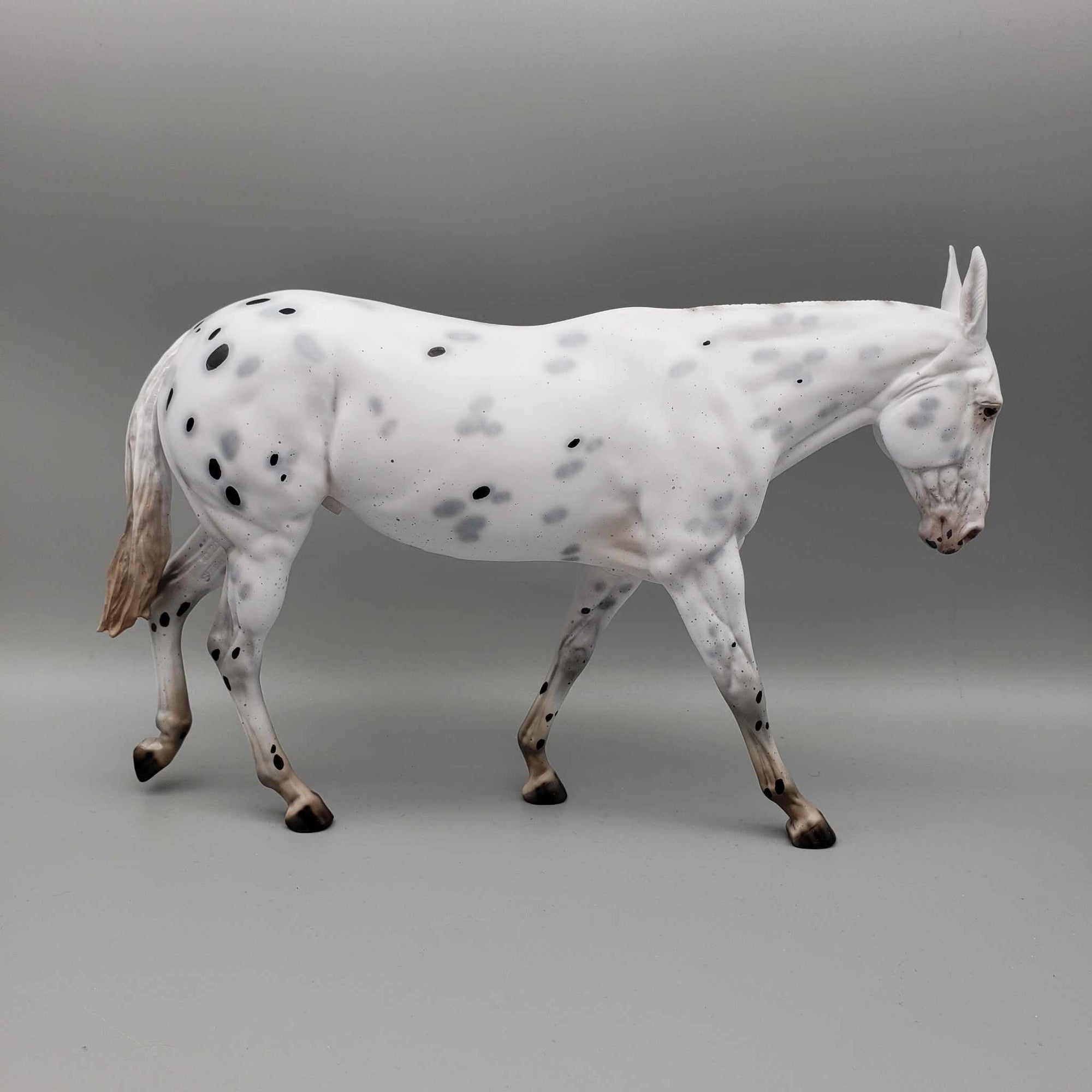 Ebenezer Scrooge from A Christmas Carol LE-31 Black Appaloosa Going Grey Pinned Ear Gelding Mule 😍 By Ellen Robbins Classic Literature 2023 CL23