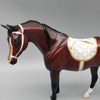 I&#39;ll Drink To That OOAK Bay Pebble Arabian with Handpainted Tack By Jess Hamill New Year Sales Collection NY23