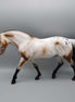 Cocktail Attire OOAK Bay Varnish Appaloosa Irish Draught By Sheryl Leisure Best Offer 12/18/23