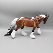 Hourglass OOAK Bay Irish Cob By Angela Marleau New Year Sales Collection NY23 Facebook Auction