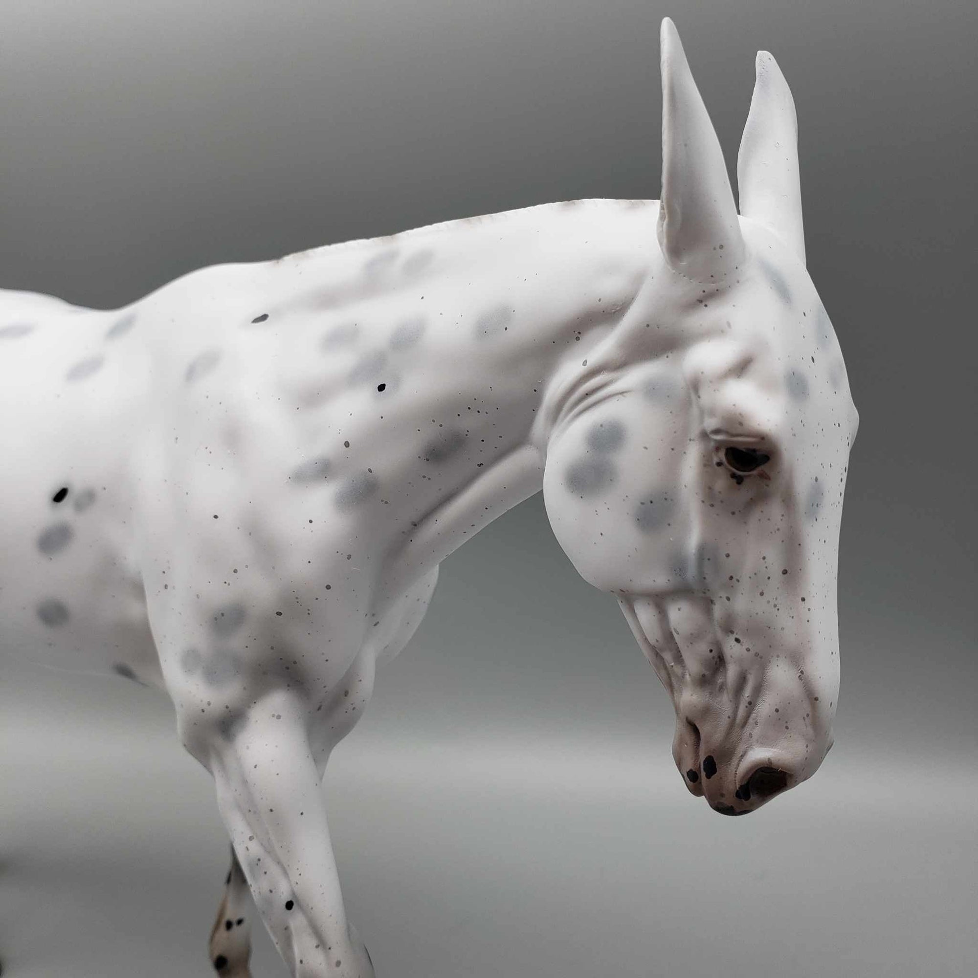 Ebenezer Scrooge from A Christmas Carol LE-31 Black Appaloosa Going Grey Pinned Ear Gelding Mule 😍 By Ellen Robbins Classic Literature 2023 CL23