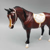 I&#39;ll Drink To That OOAK Bay Pebble Arabian with Handpainted Tack By Jess Hamill New Year Sales Collection NY23