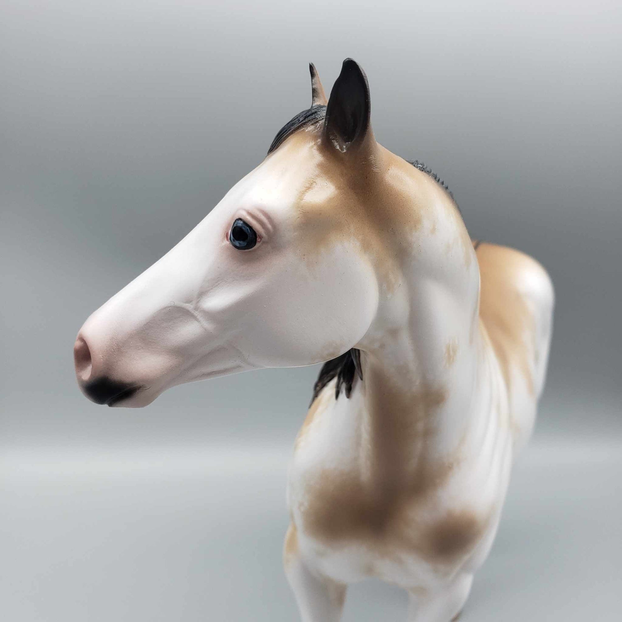 Jingle Berry OOAK Buckskin Sabino ISH By Sheryl Leisure Best Offers 12/26/23