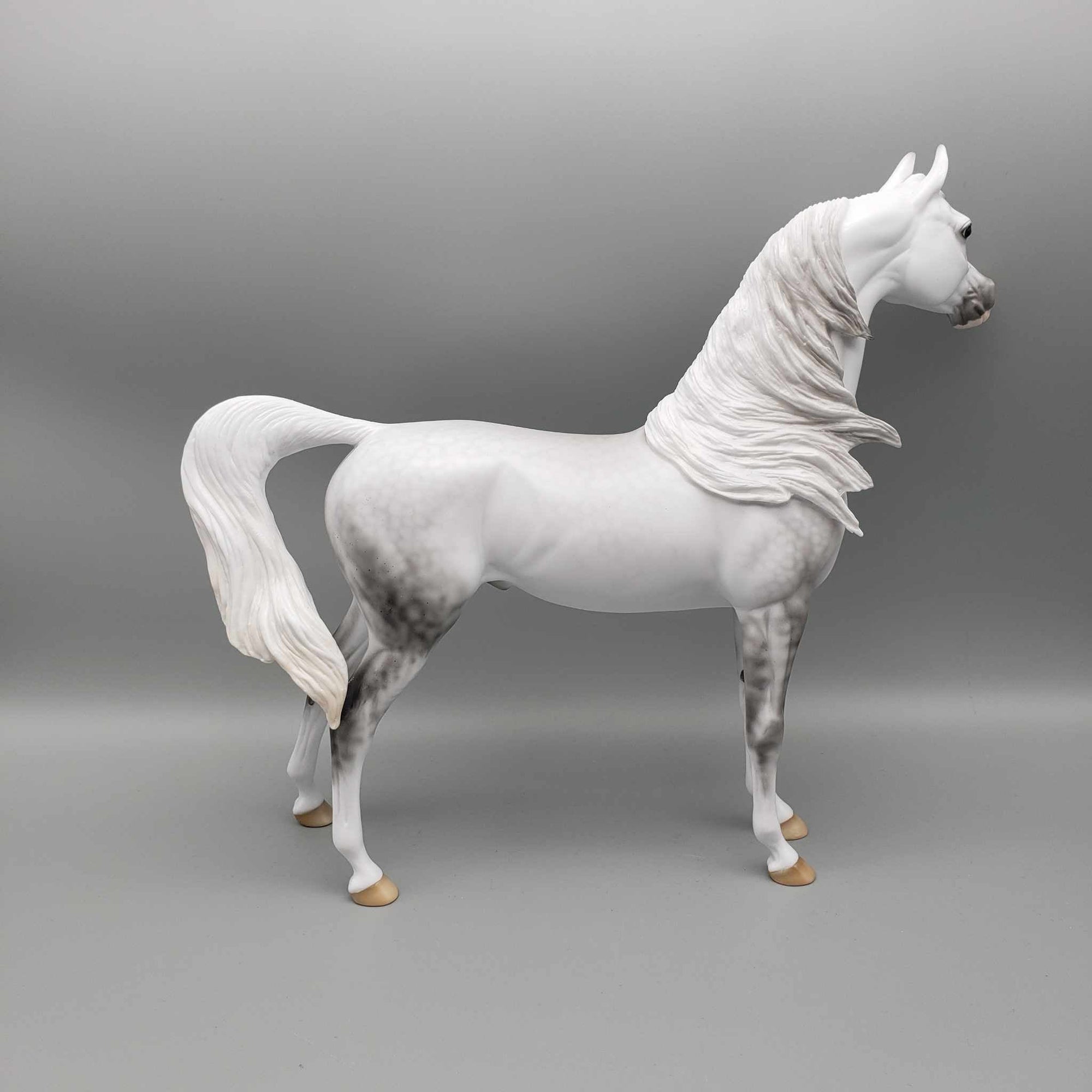 Stormy OOAK Dappled Grey Arabian By Ellen Robbins Employee Appreciation Model