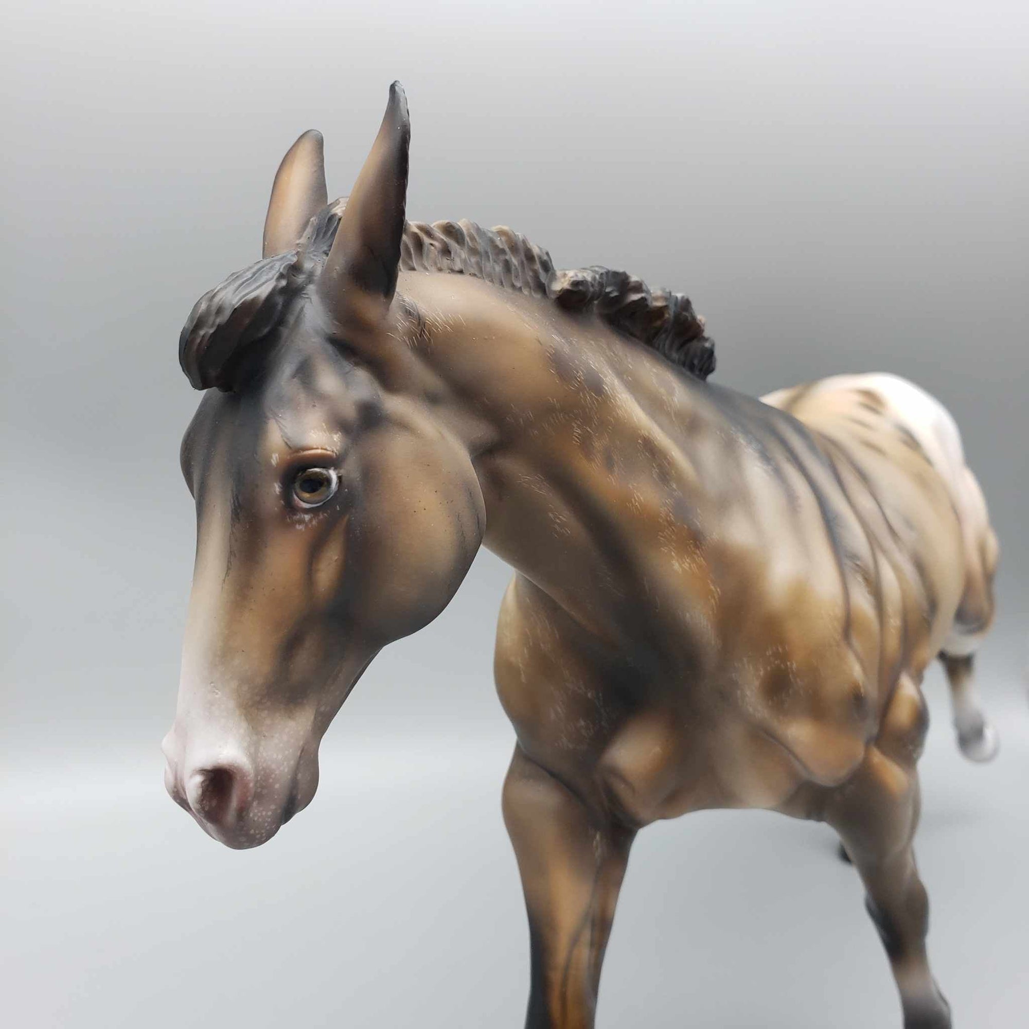 Mulio OOAK Appaloosa Custom Remington by Julie Keim Employee Appreciation Model